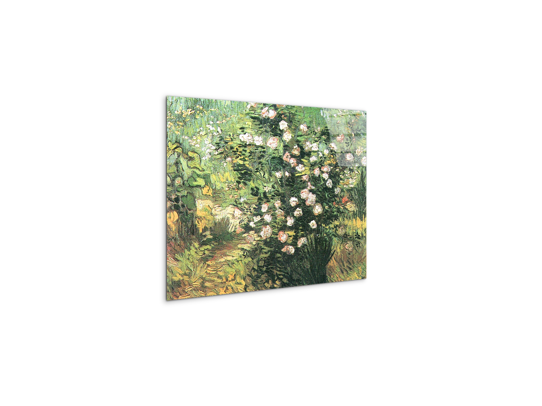 flowering-rosebushas91071-#materiale_CrystalArt/dimensioni_50x37,50