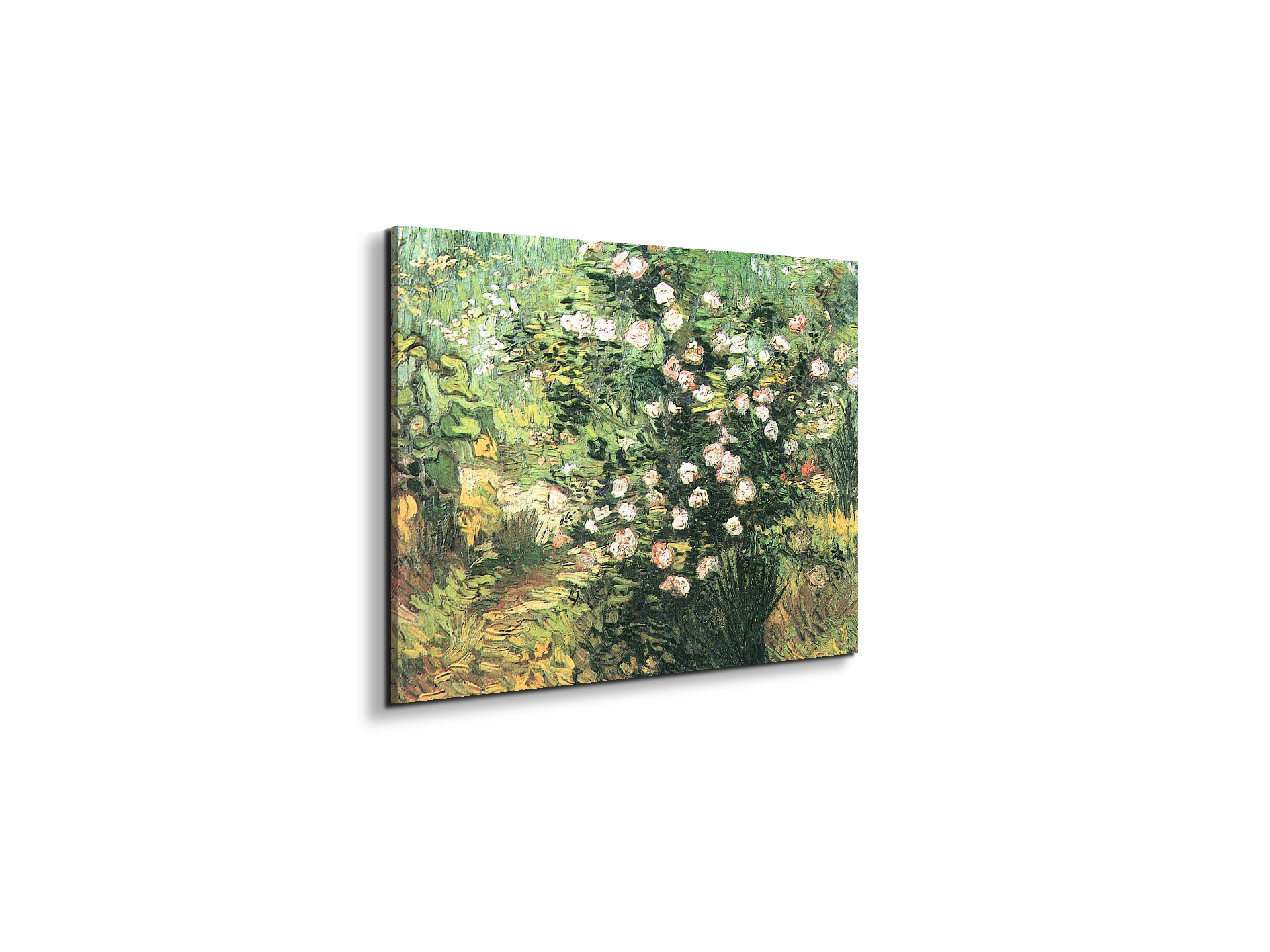flowering-rosebushas91071-#materiale_EarthArt/dimensioni_50x37,50