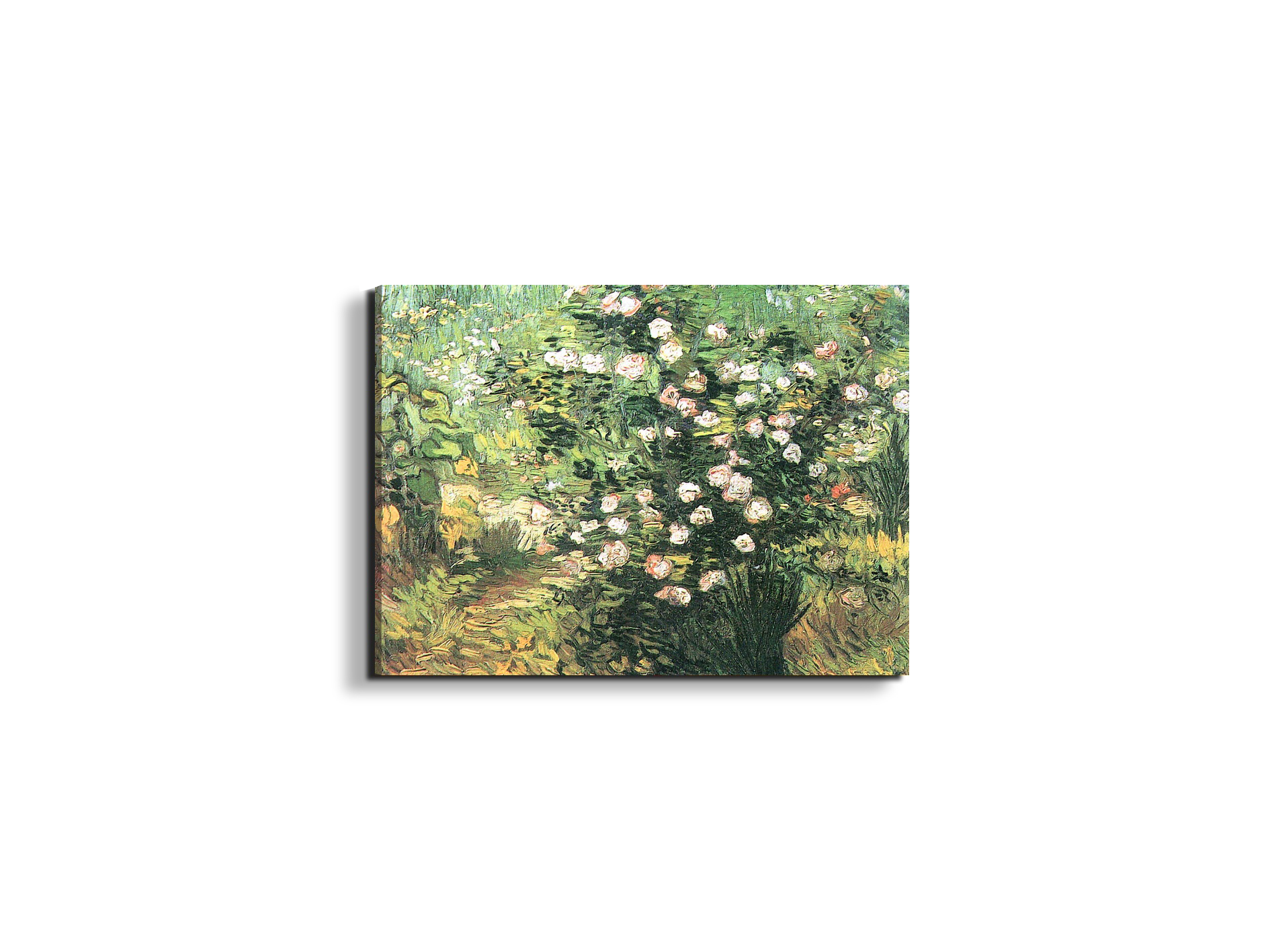 flowering-rosebushas91071-#materiale_EarthArt Materic/dimensioni_50x37,50