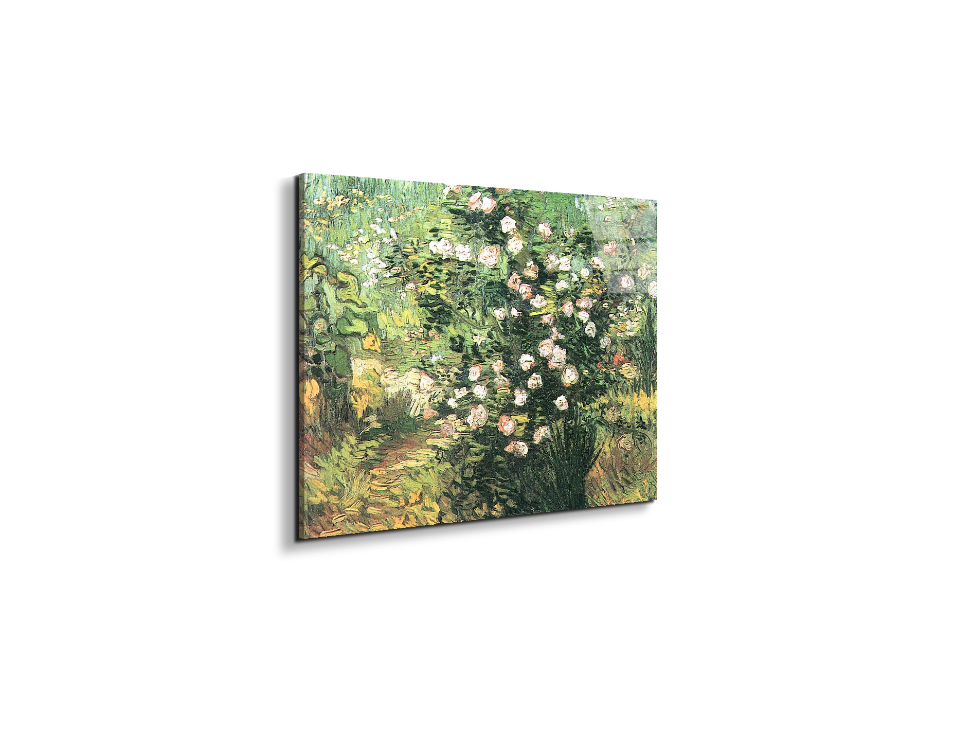 flowering-rosebushas91071-#materiale_EarthArt Total Gloss/dimensioni_50x37,50