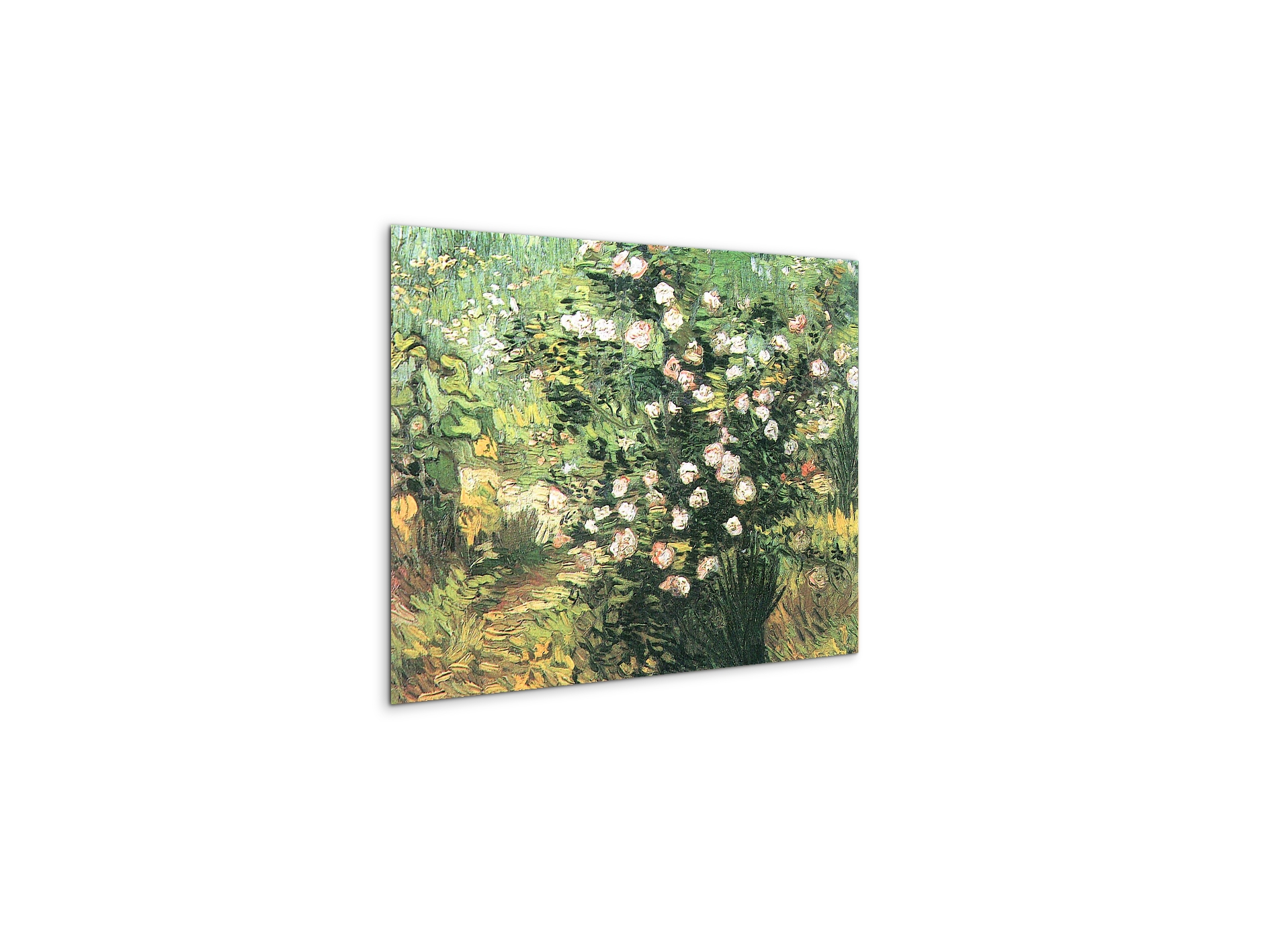 flowering-rosebushas91071-#materiale_MetalArt Materic/dimensioni_50x37,50