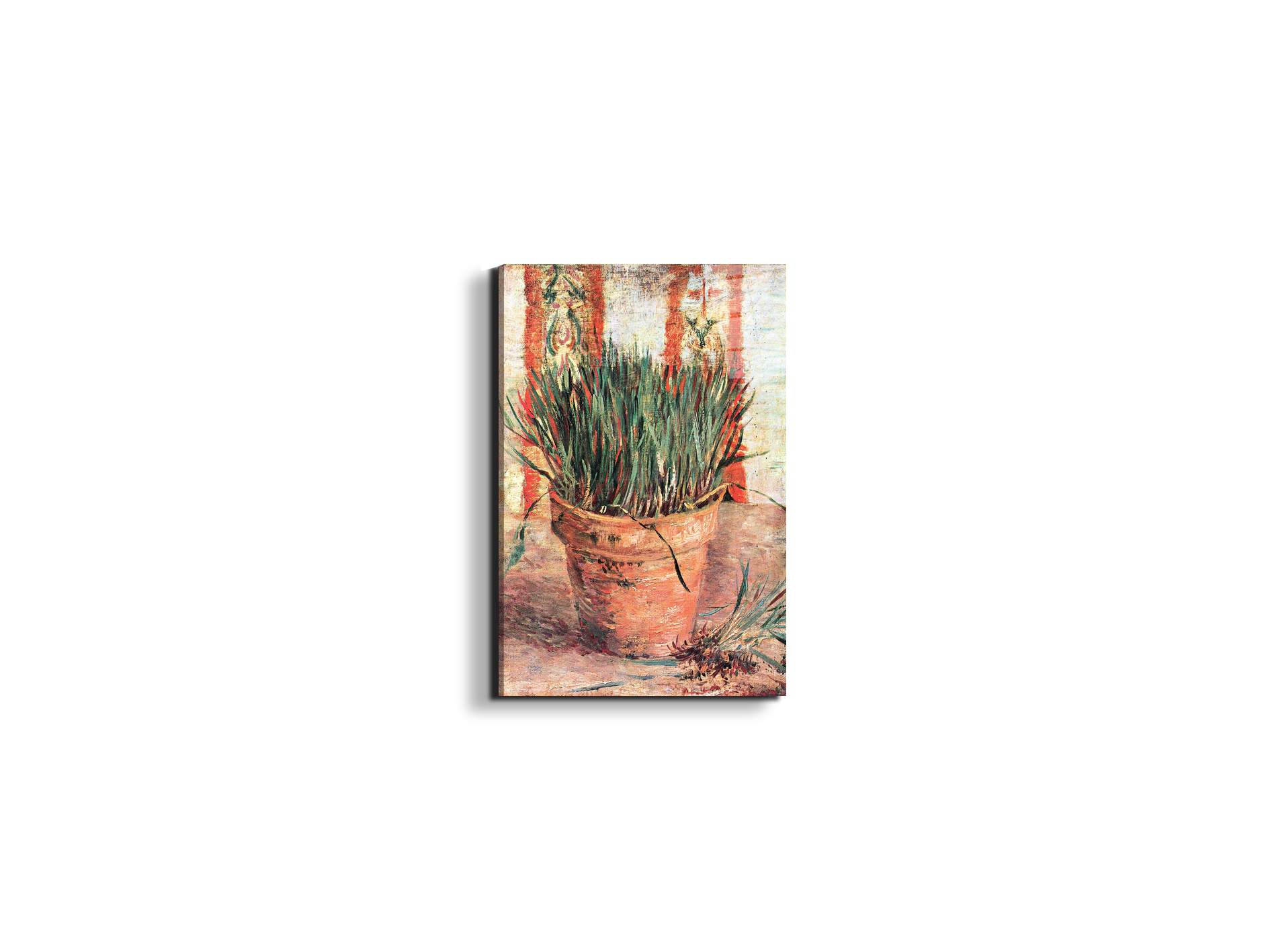 #materiale_EarthArt Total Gloss/dimensioni_33,33x50