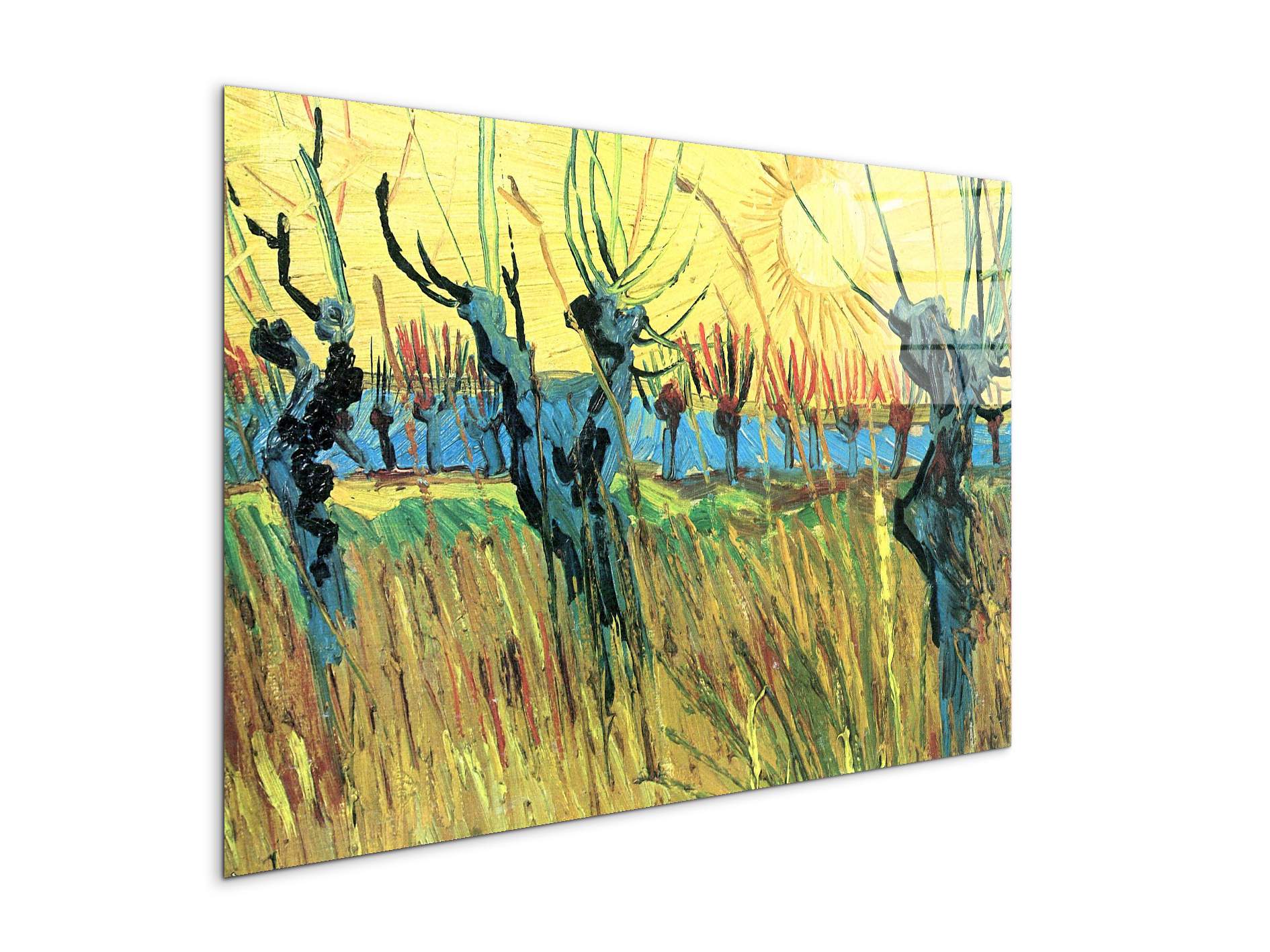 grazing-at-sunset-as91075-