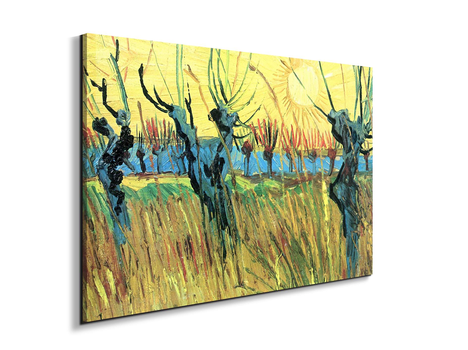 grazing-at-sunset-as91075-