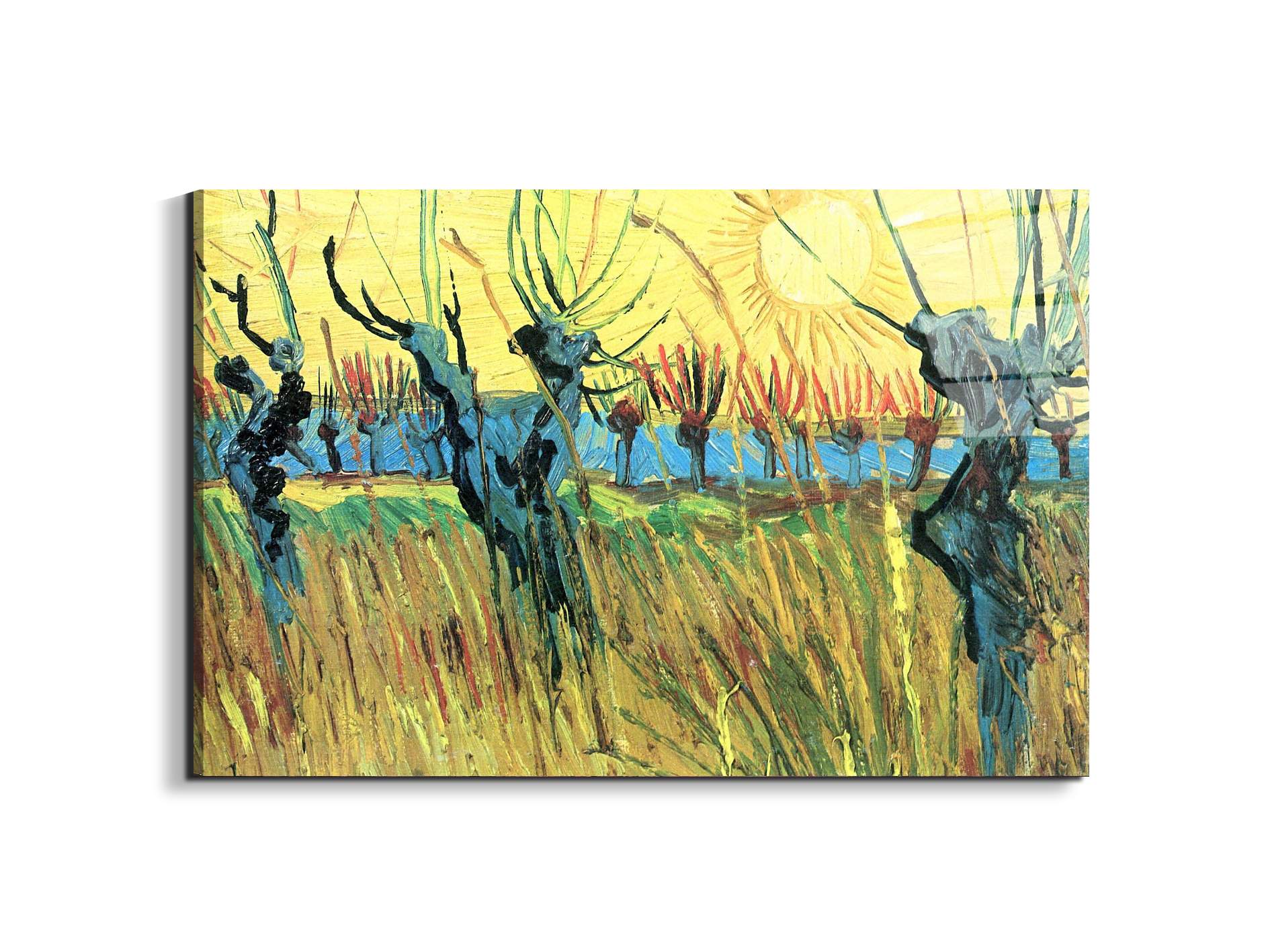 grazing-at-sunset-as91075-