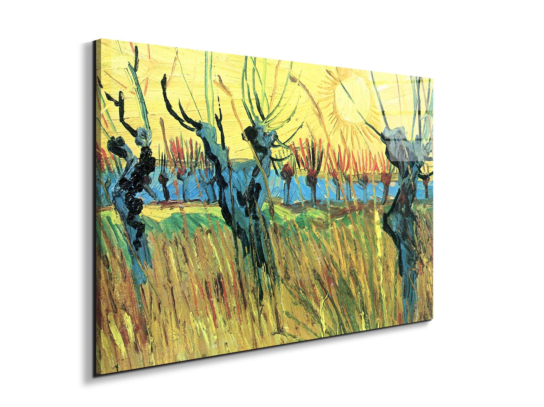 grazing-at-sunset-as91075-