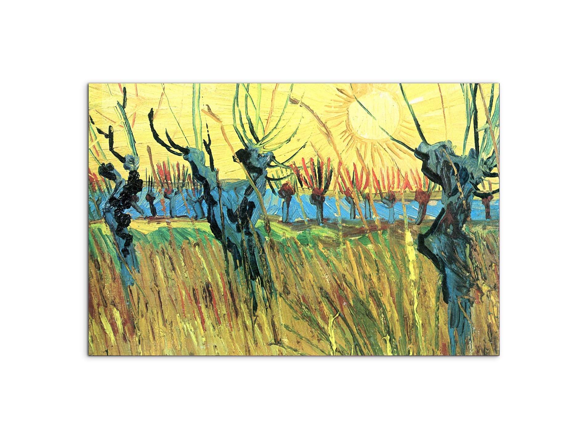 grazing-at-sunset-as91075-