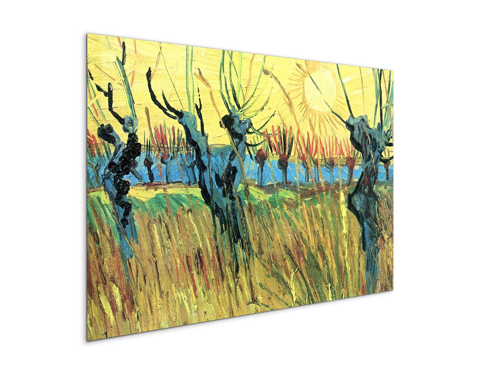 grazing-at-sunset-as91075-