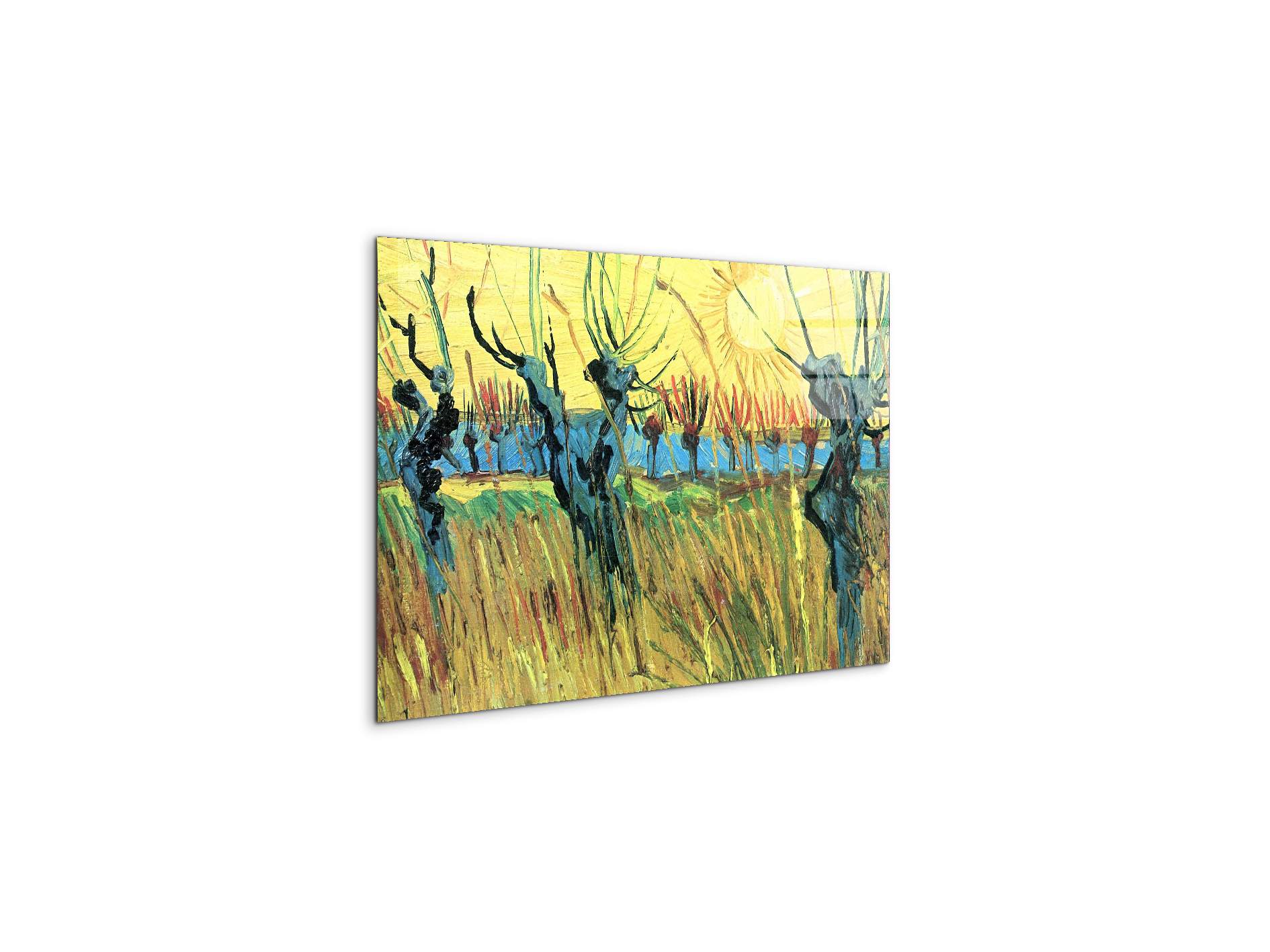 grazing-at-sunset-as91075-