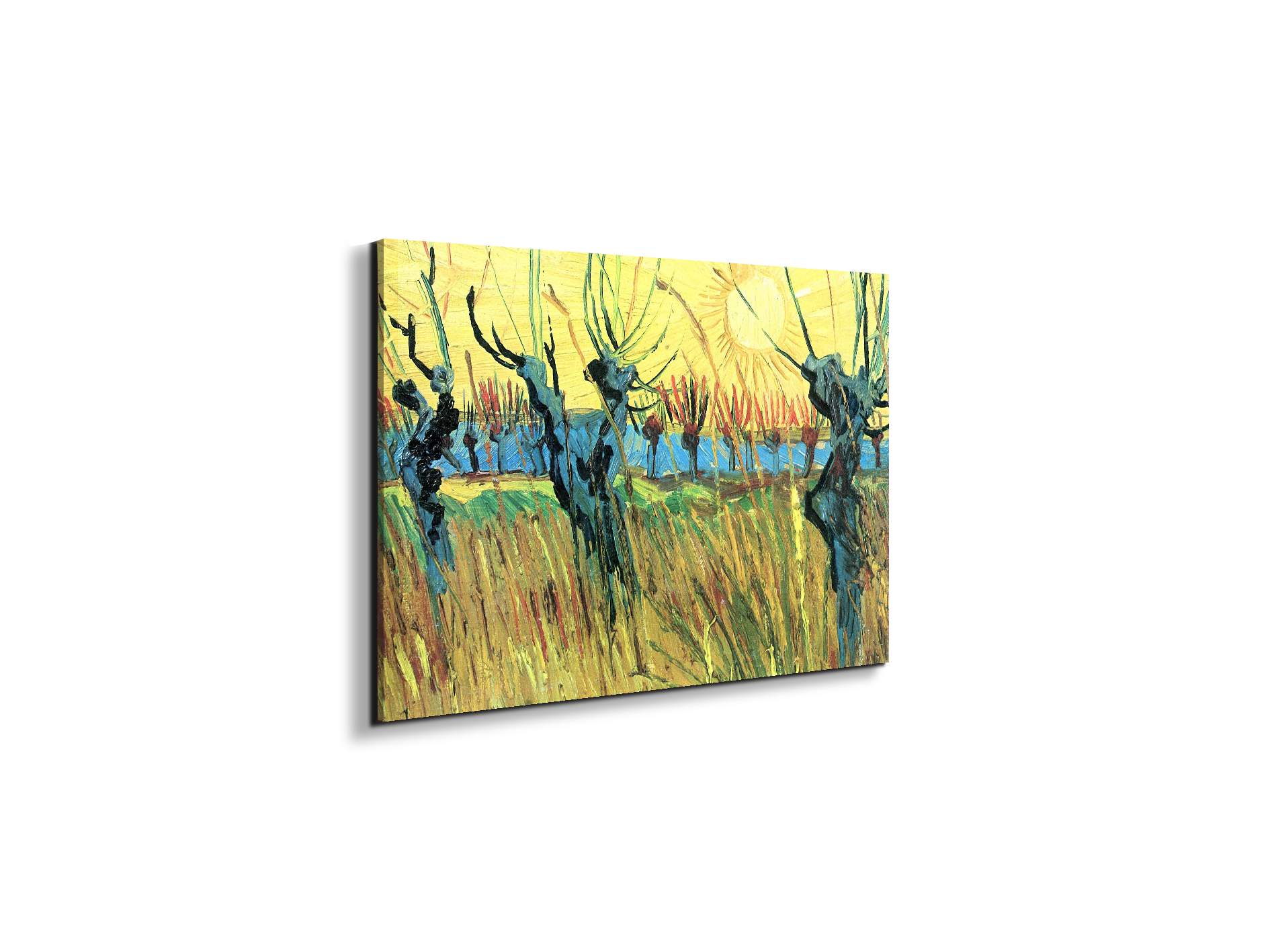 grazing-at-sunset-as91075-