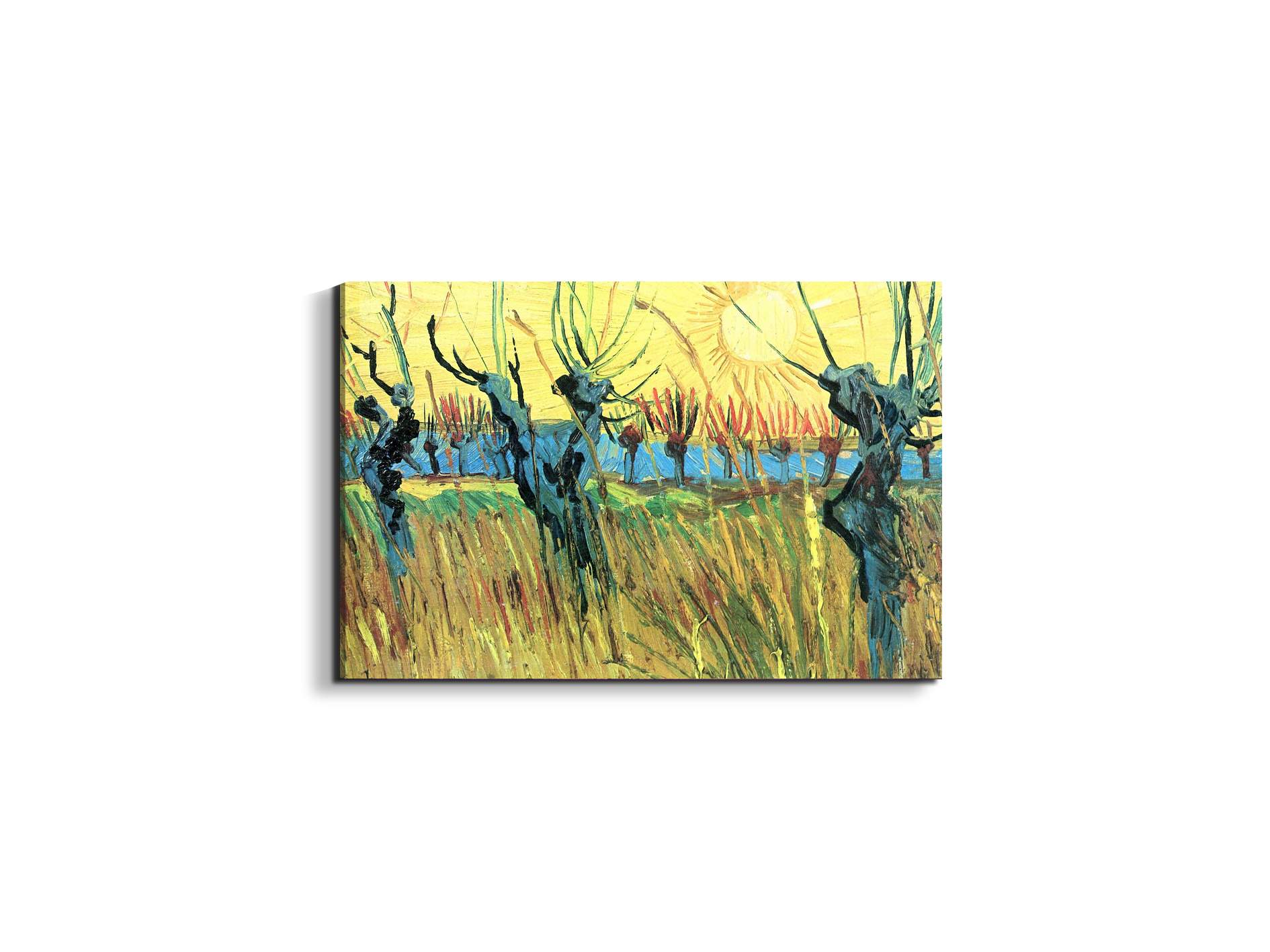 grazing-at-sunset-as91075-