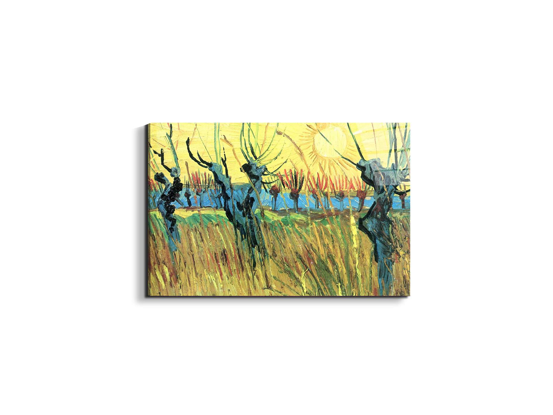 grazing-at-sunset-as91075-