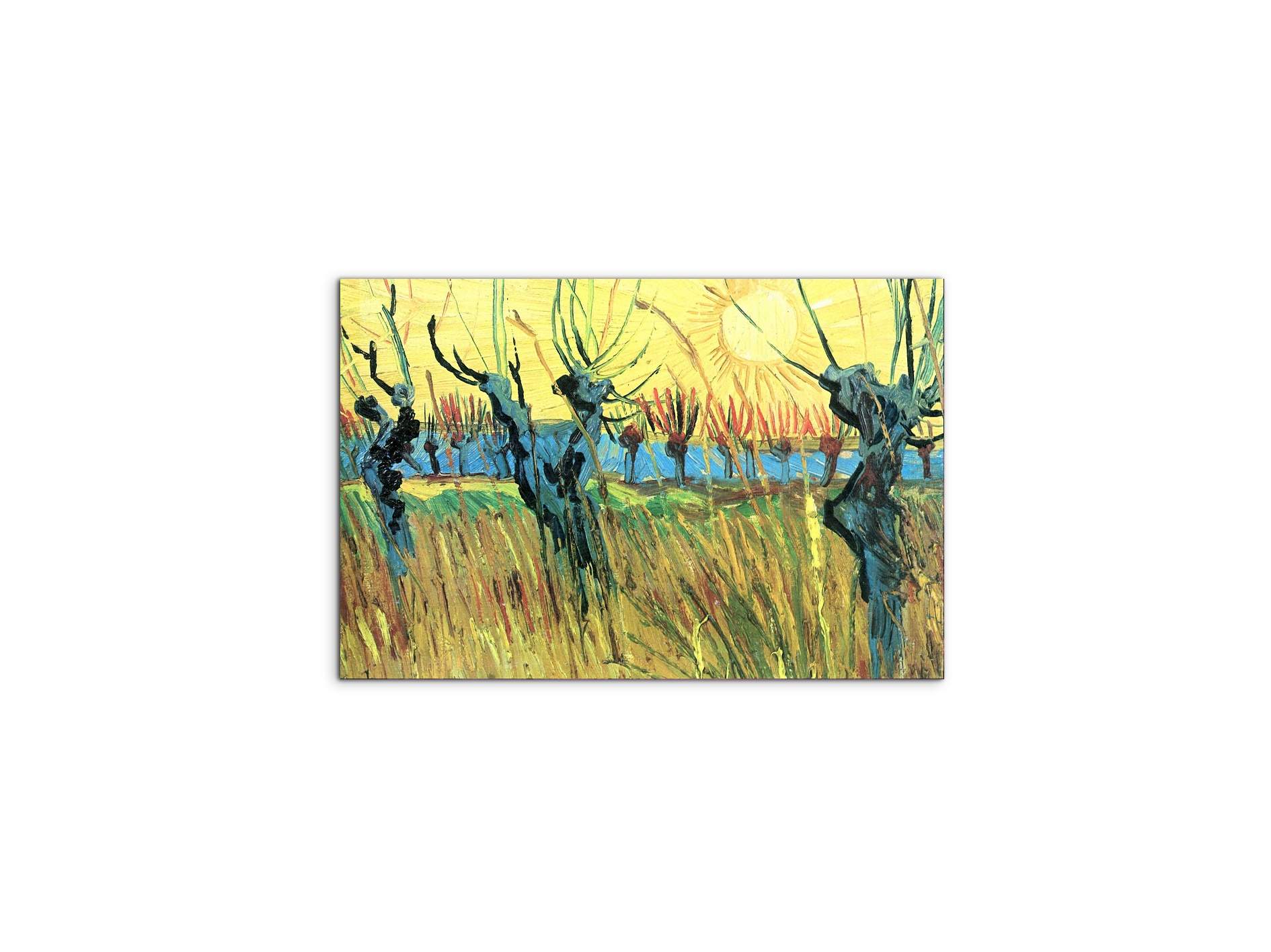 grazing-at-sunset-as91075-