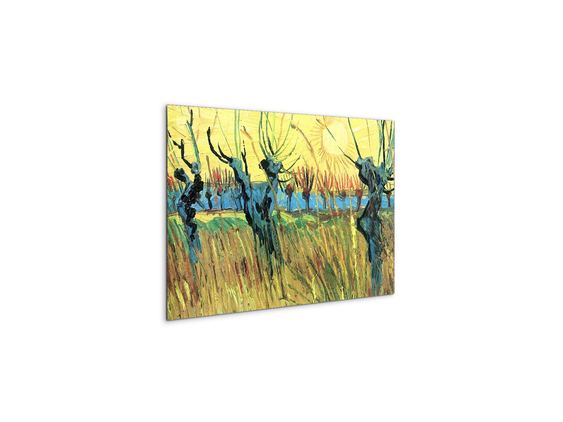 grazing-at-sunset-as91075-