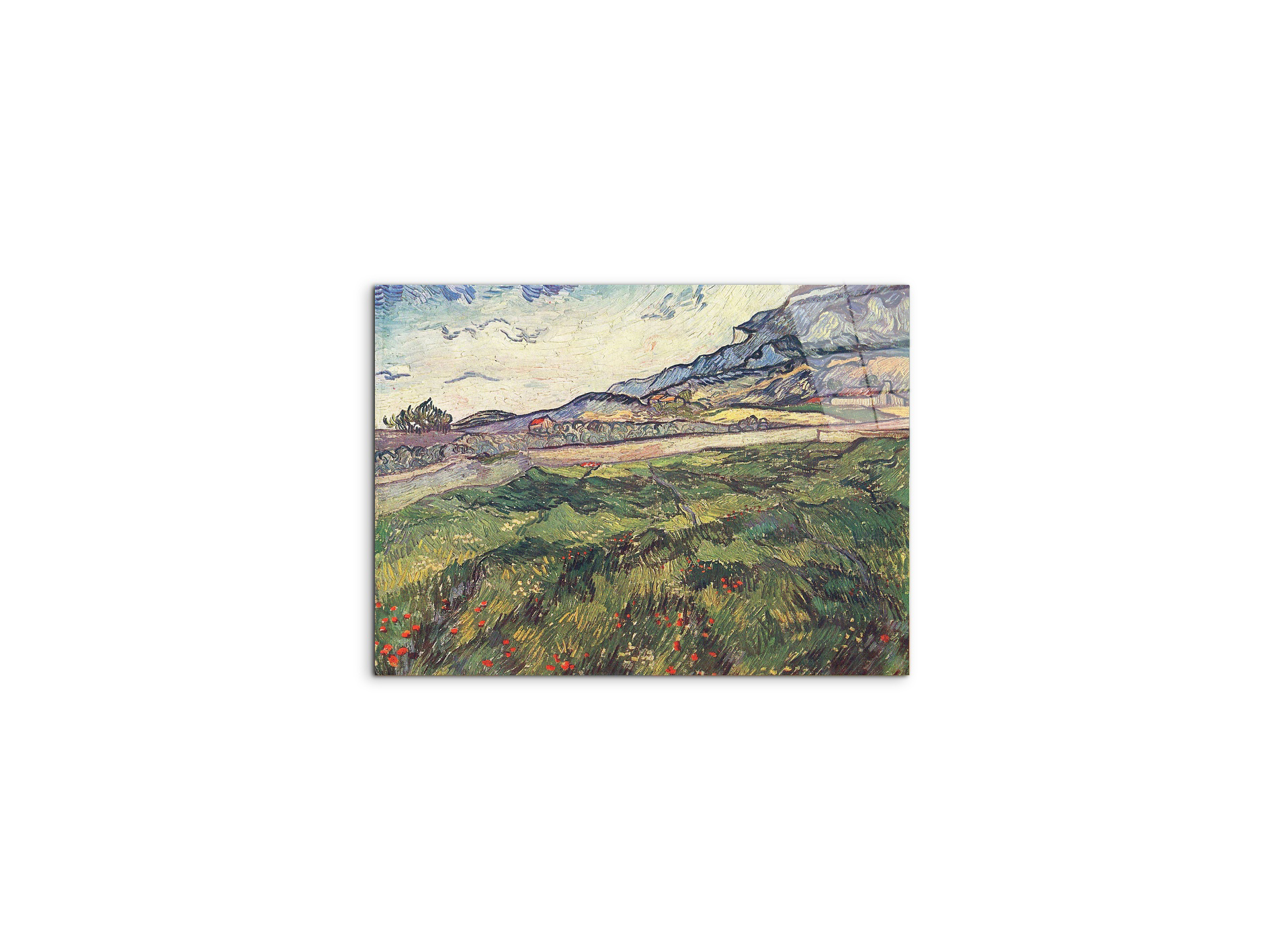 green-wheat-field-as91077-