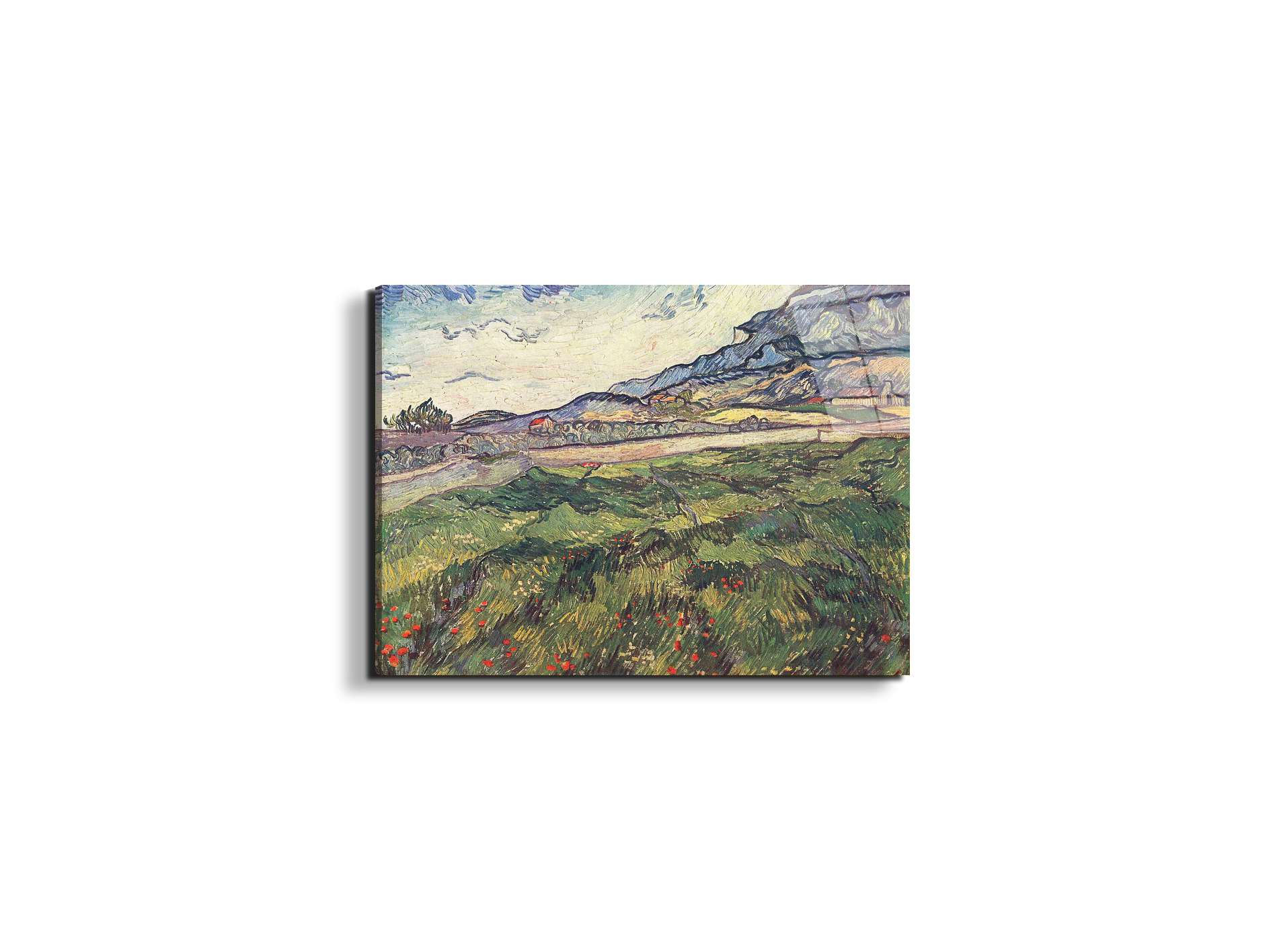 green-wheat-field-as91077-
