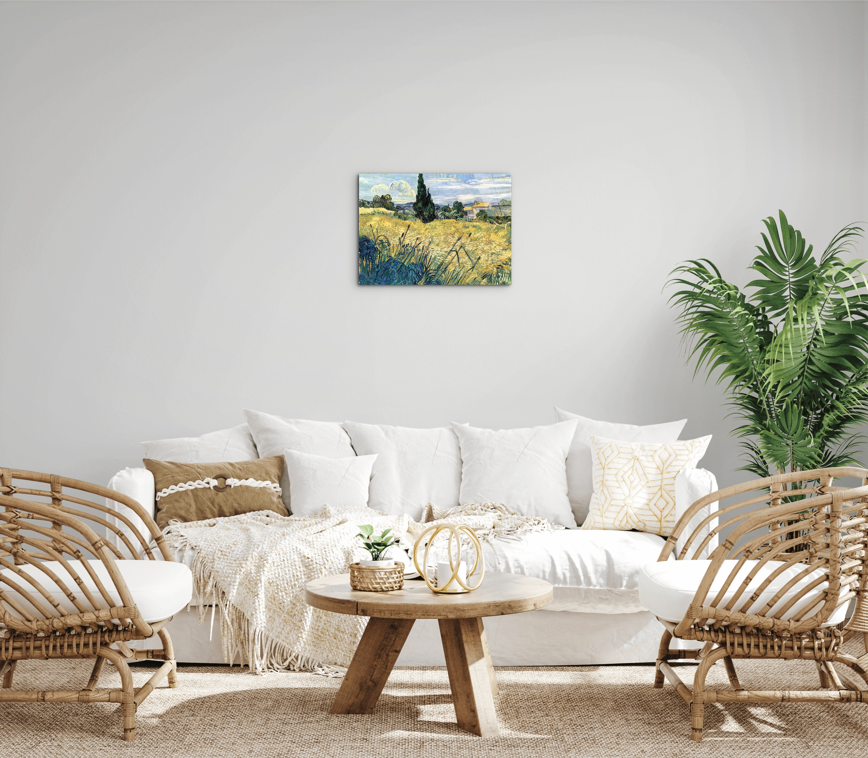 green-wheat-field-with-cypressas91079-