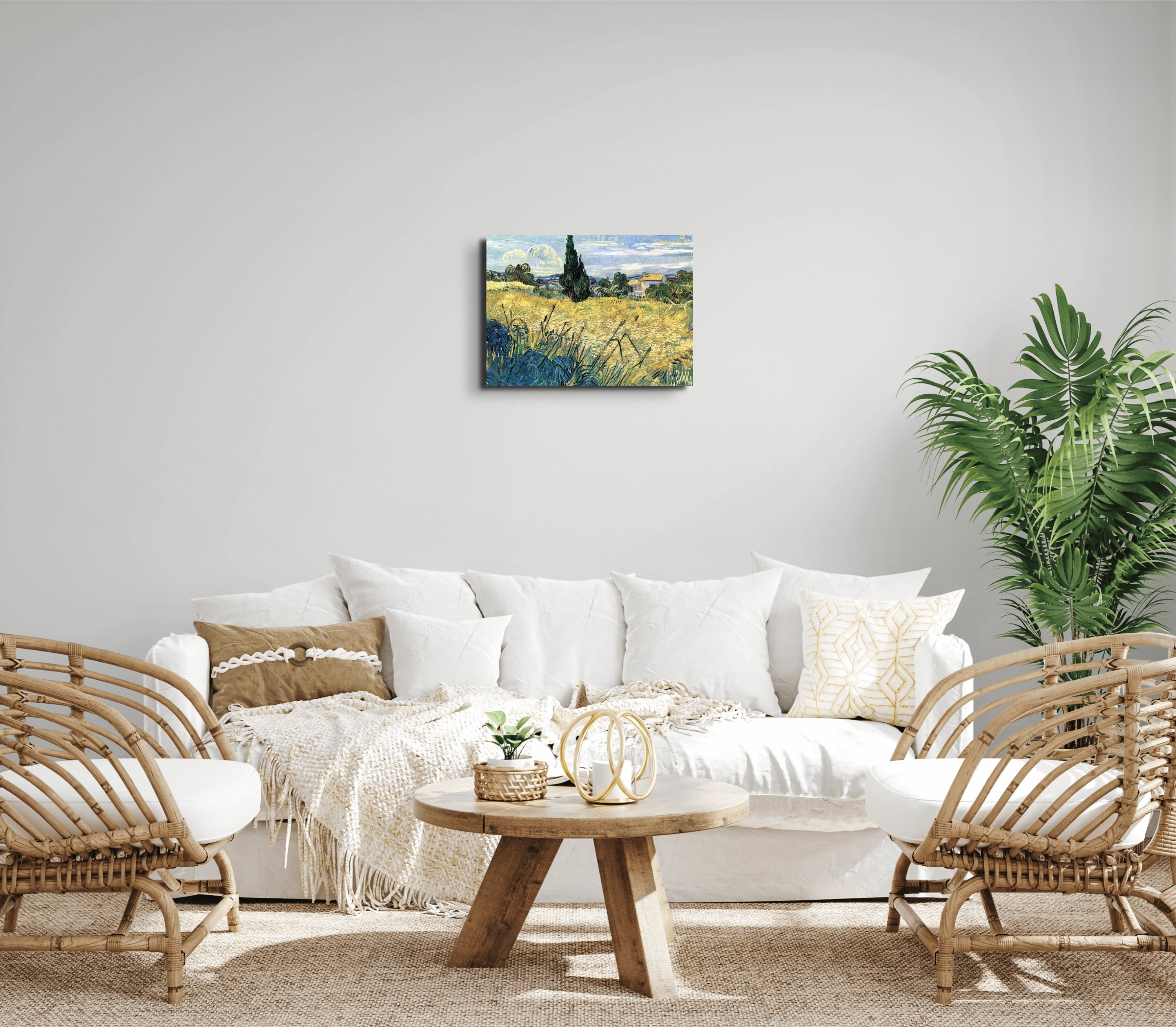 green-wheat-field-with-cypressas91079-
