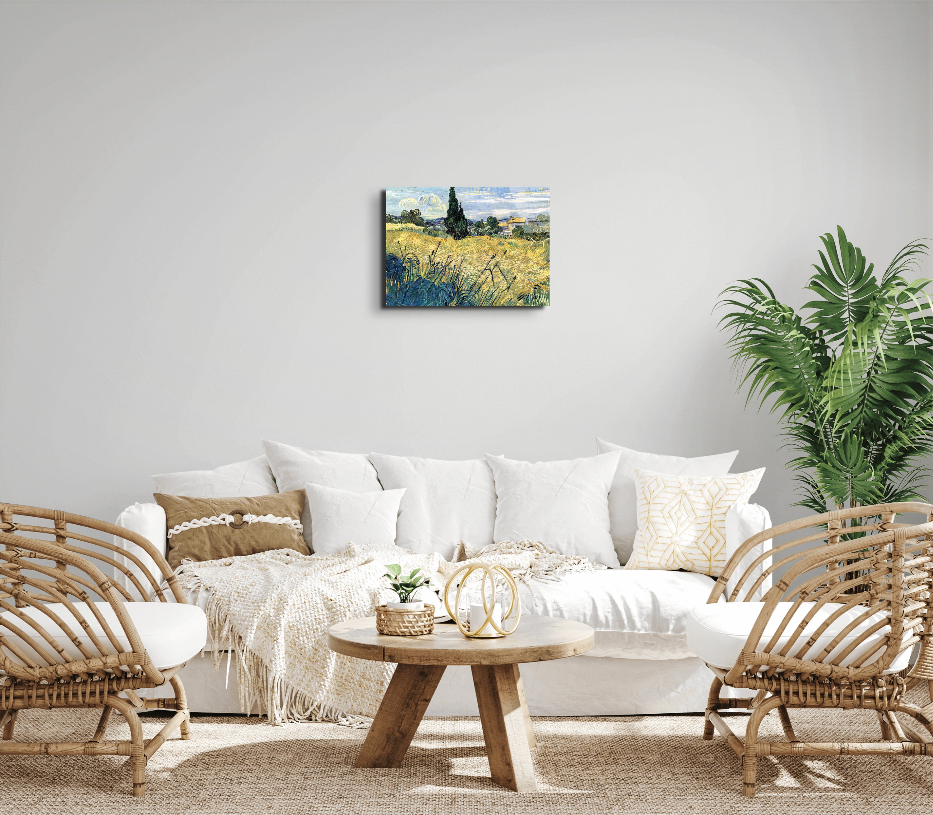 green-wheat-field-with-cypressas91079-