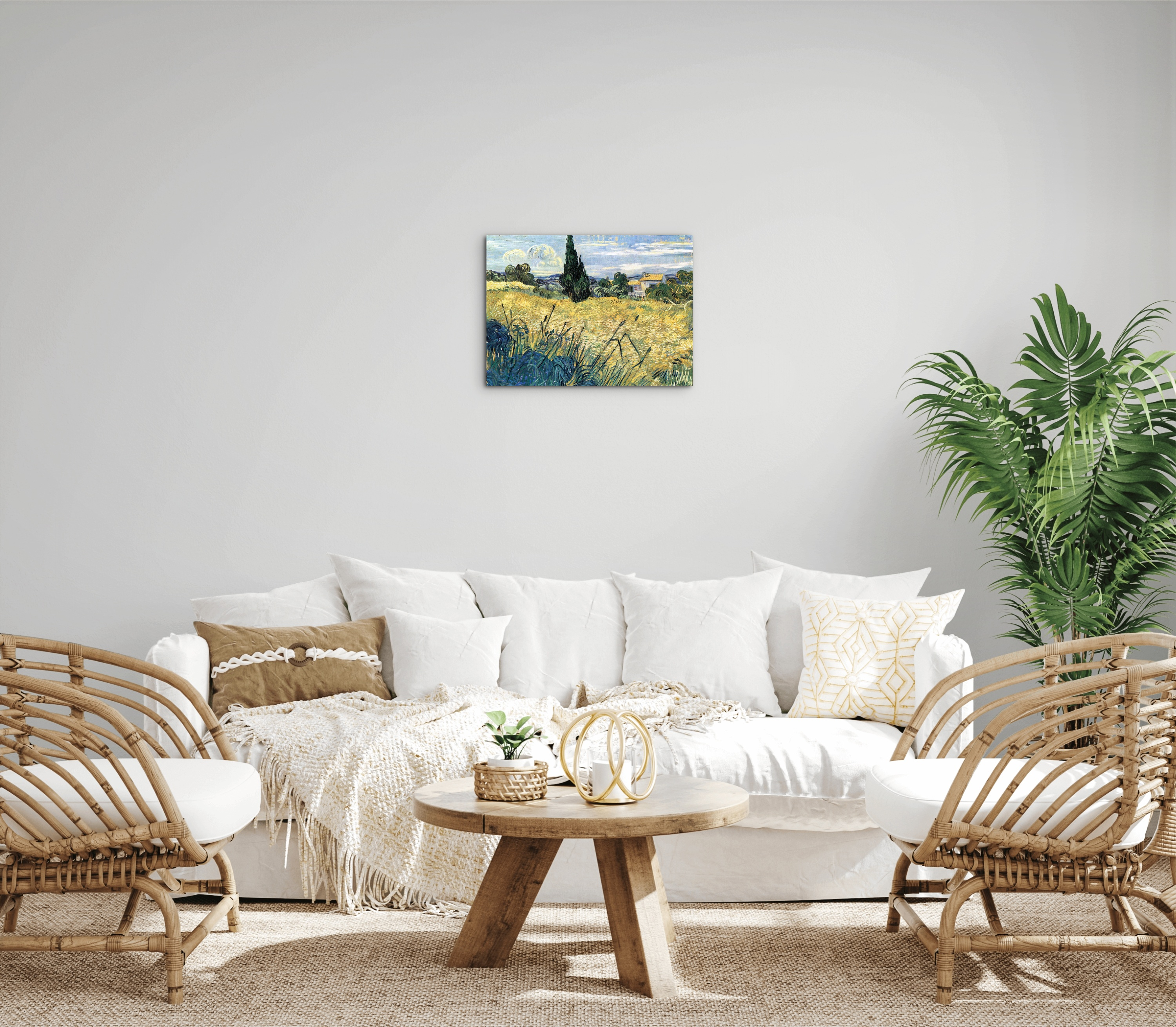 green-wheat-field-with-cypressas91079-