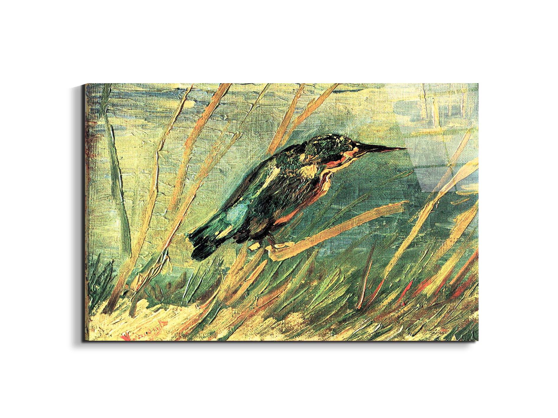 kingfisheras91103-#materiale_EarthArt Total Gloss/dimensioni_79,5x53
