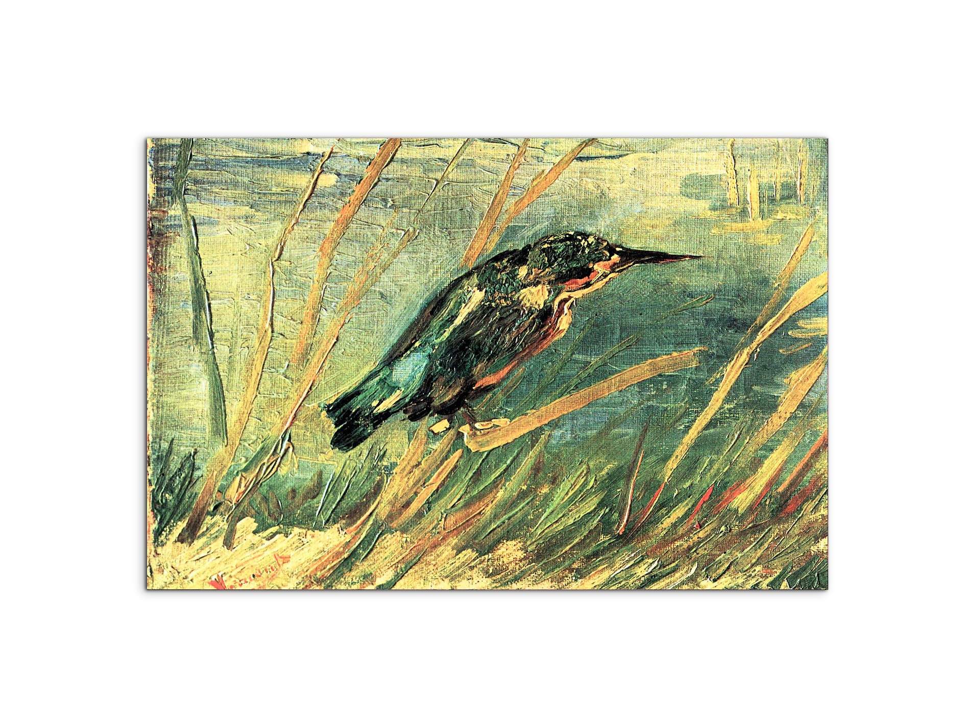 kingfisheras91103-#materiale_MetalArt Materic/dimensioni_79,5x53