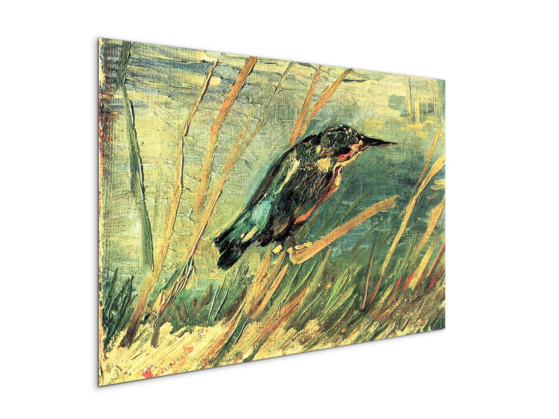 kingfisheras91103-#materiale_MetalArt Materic/dimensioni_79,5x53