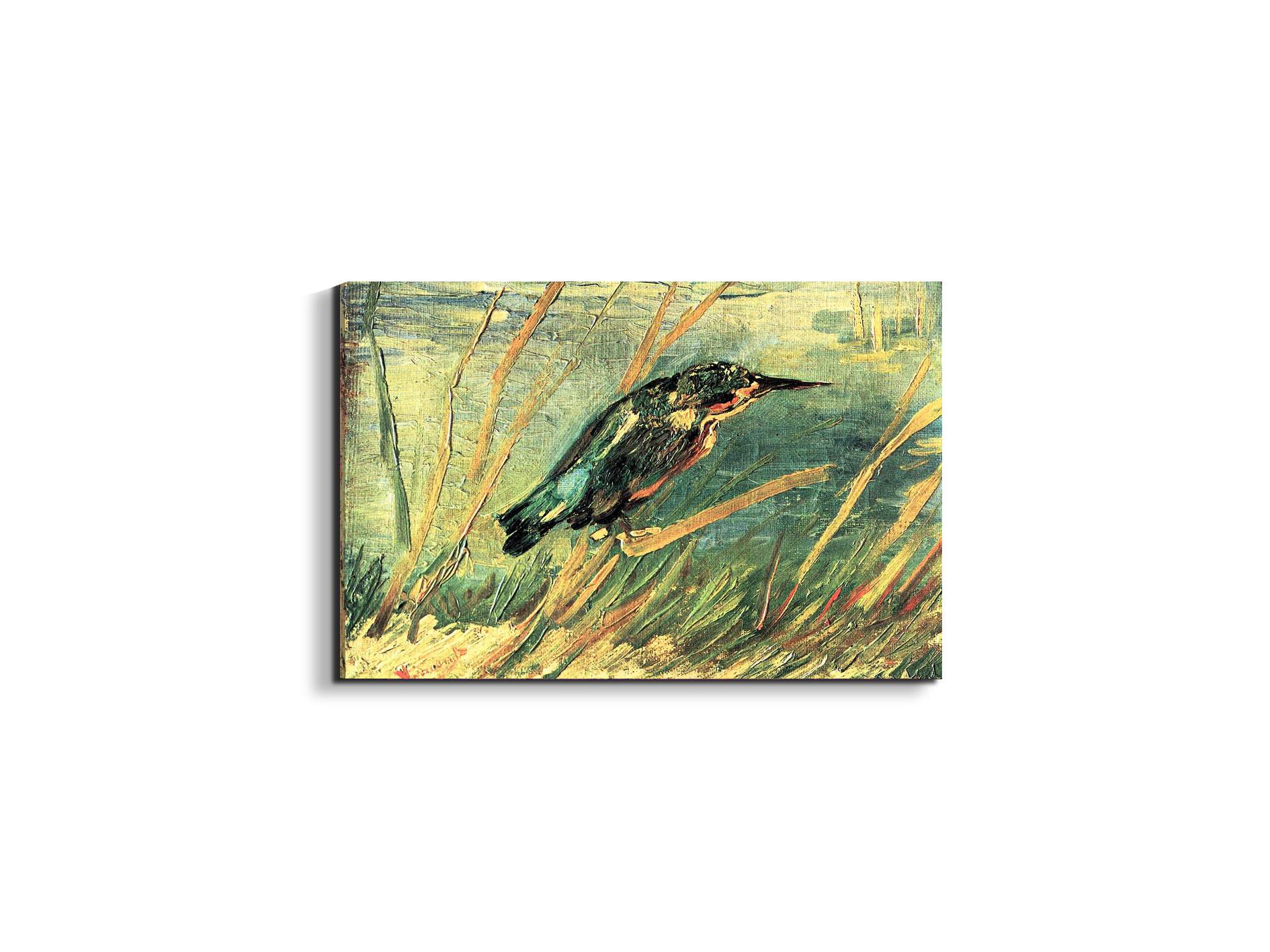 kingfisheras91103-#materiale_EarthArt Materic/dimensioni_50x33,33