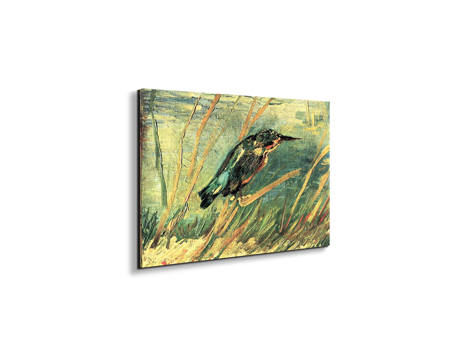 kingfisheras91103-#materiale_EarthArt Materic/dimensioni_50x33,33