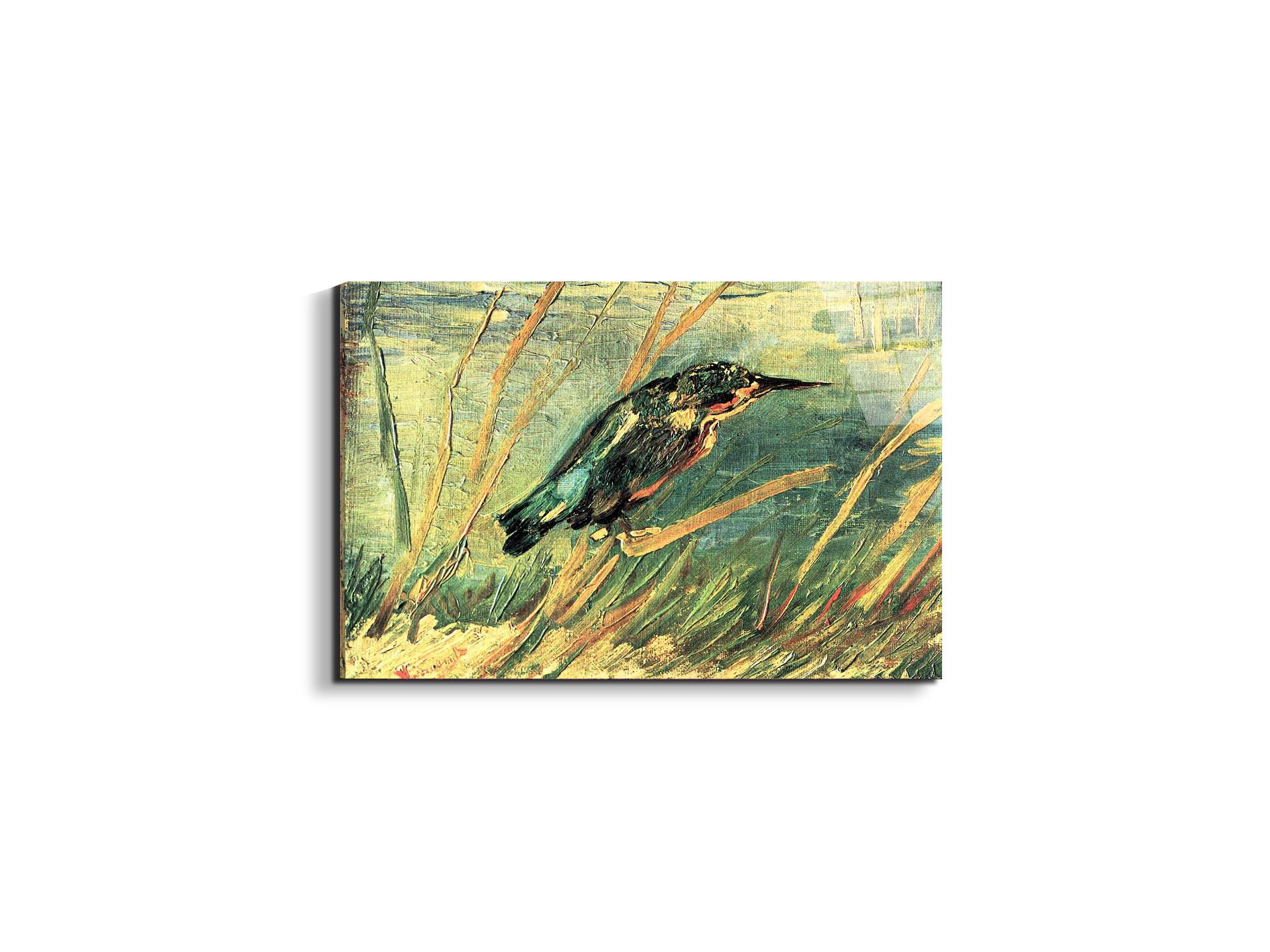 kingfisheras91103-#materiale_EarthArt Total Gloss/dimensioni_50x33,33
