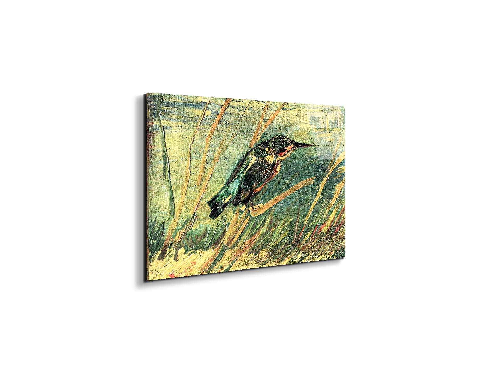 kingfisheras91103-#materiale_EarthArt Total Gloss/dimensioni_50x33,33