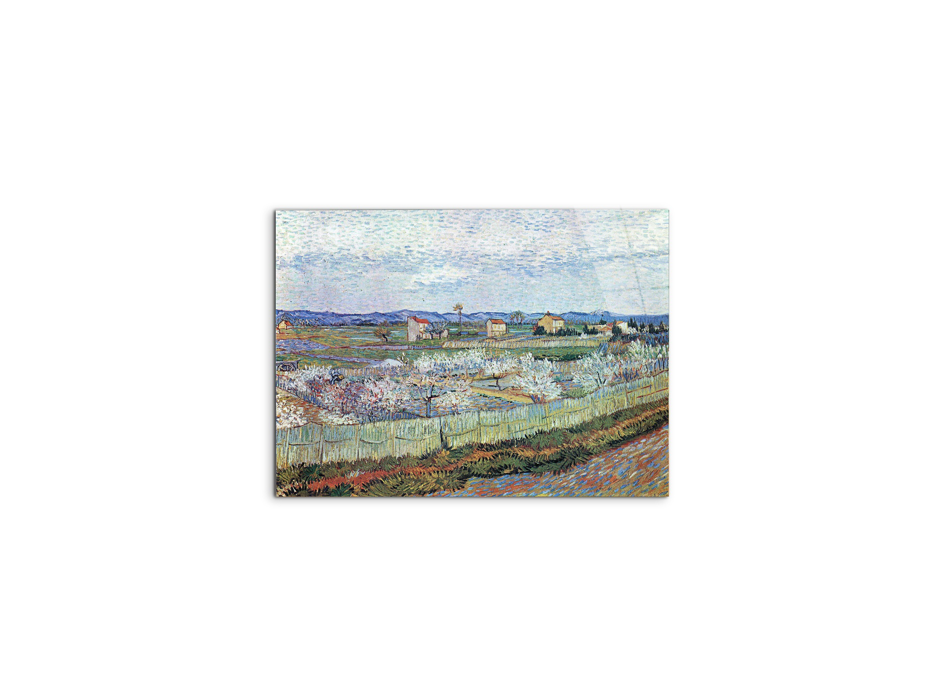 la-crau-near-arles-with-blossoming-peach-treesas91109-#materiale_CrystalArt/dimensioni_50x37,50