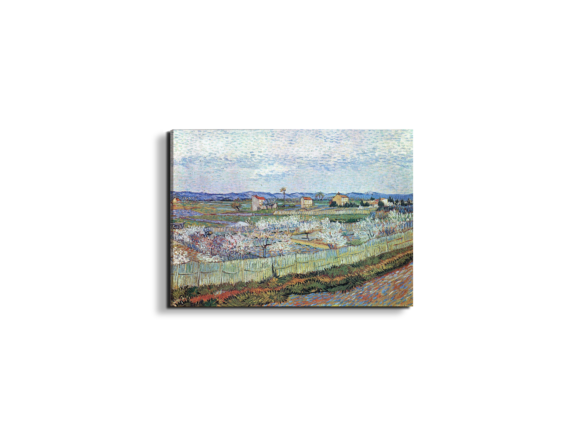 la-crau-near-arles-with-blossoming-peach-treesas91109-#materiale_EarthArt/dimensioni_50x37,50