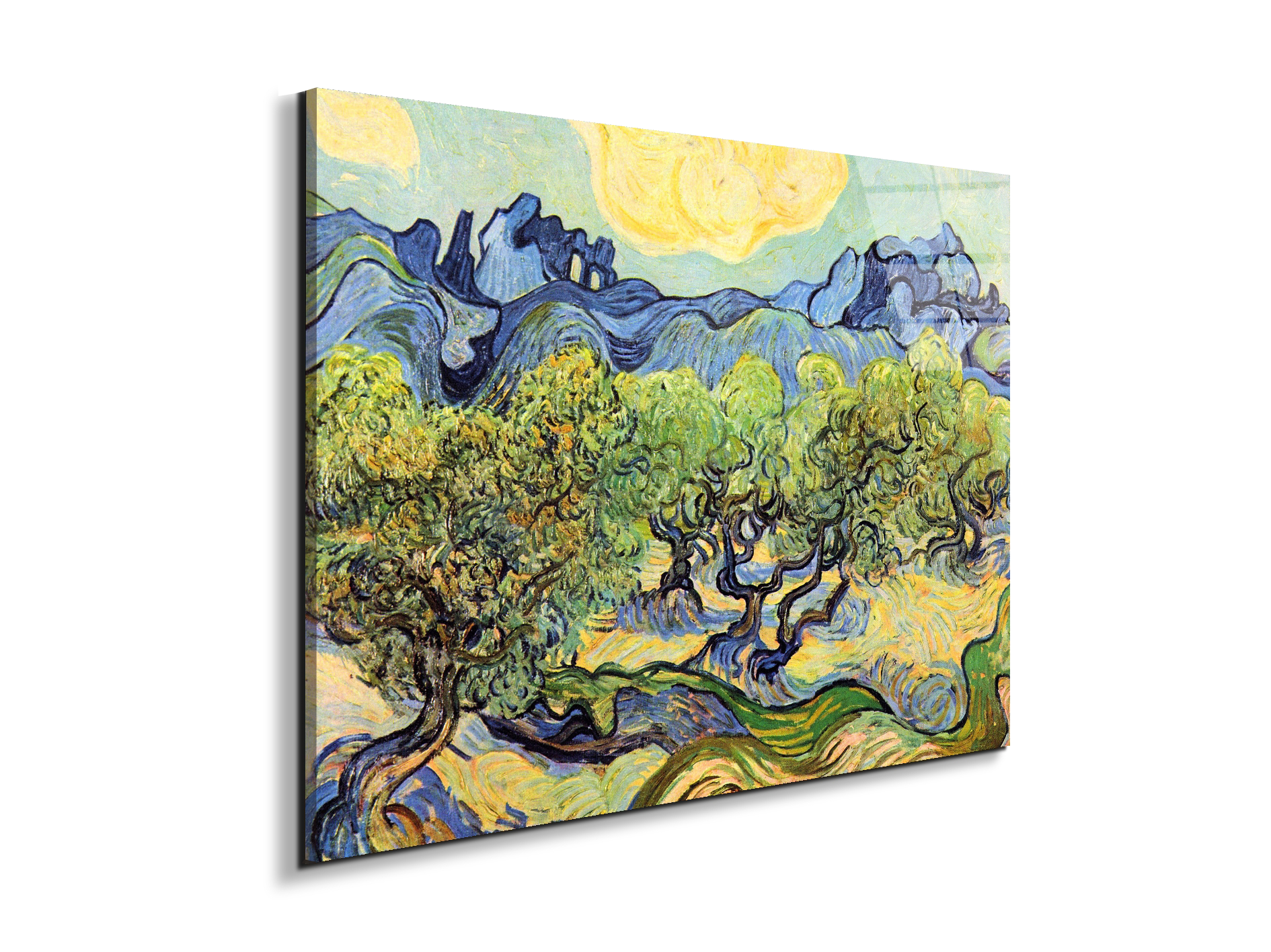 landscape-with-olive-treesas91119-#materiale_EarthArt Total Gloss/dimensioni_76x57