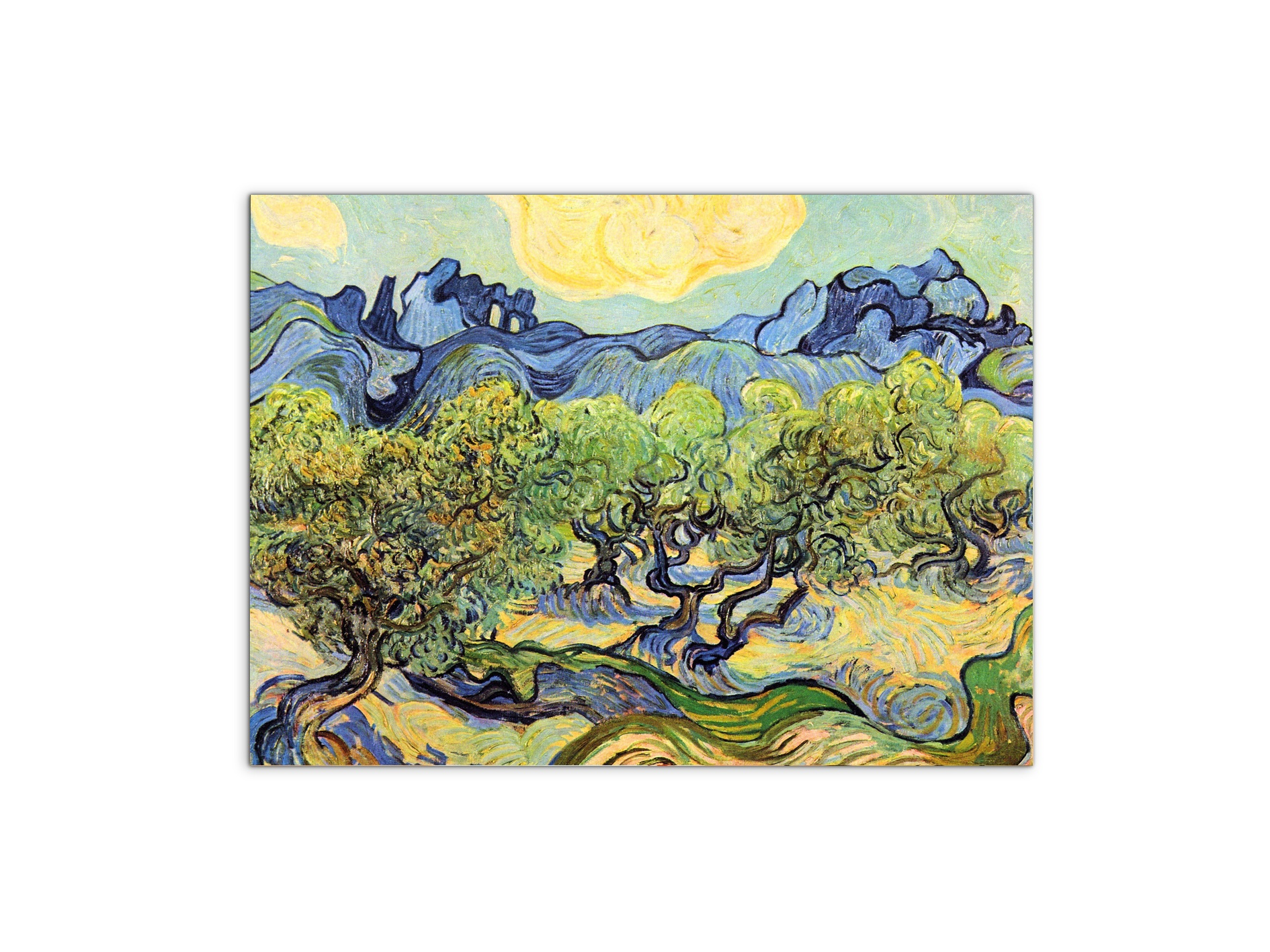 landscape-with-olive-treesas91119-#materiale_MetalArt Materic/dimensioni_76x57