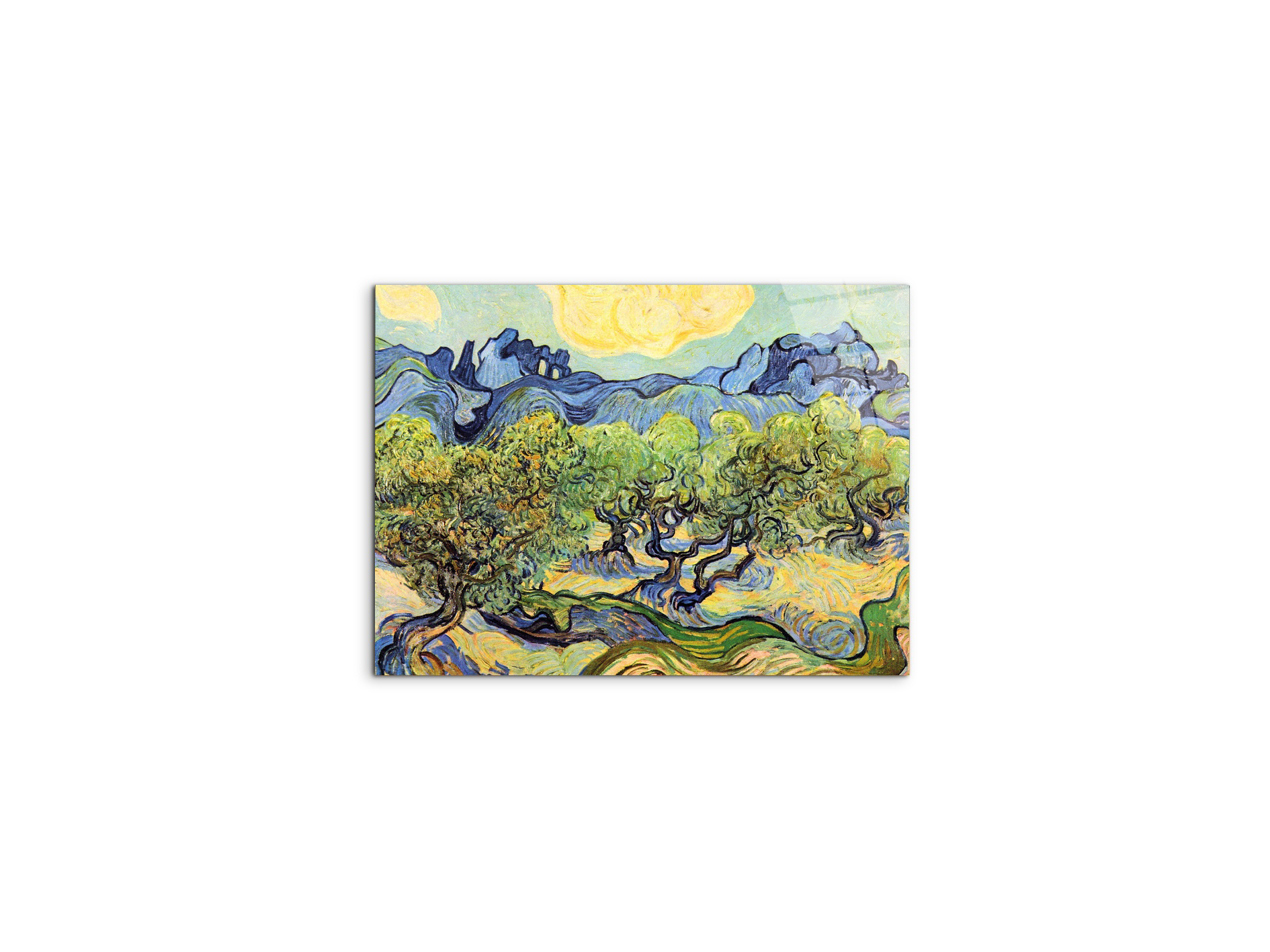 landscape-with-olive-treesas91119-#materiale_CrystalArt/dimensioni_50x37,50