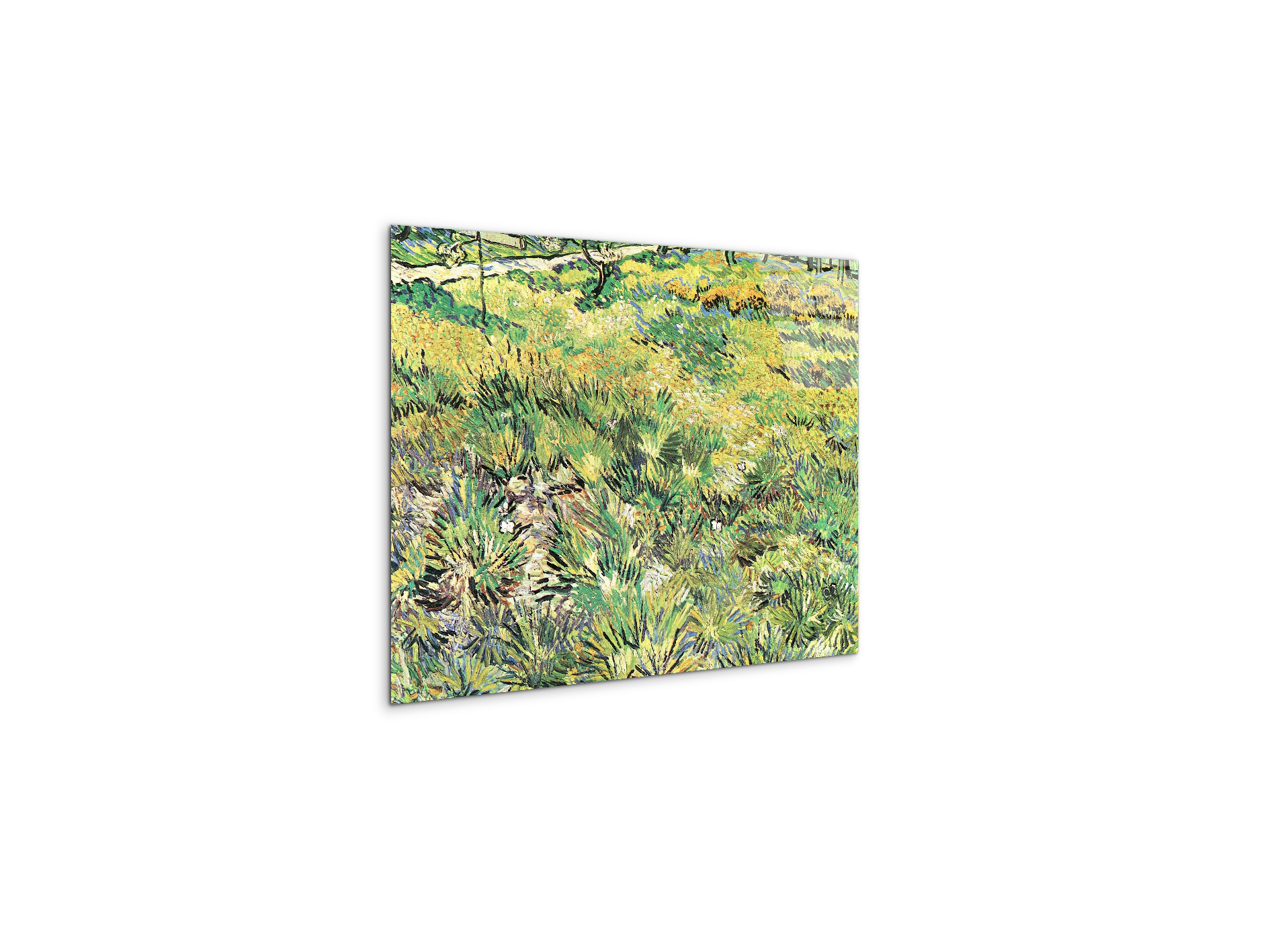 meadow-in-the-garden-of-saint-paul-hospitalas91143-#materiale_CrystalArt/dimensioni_50x37,50