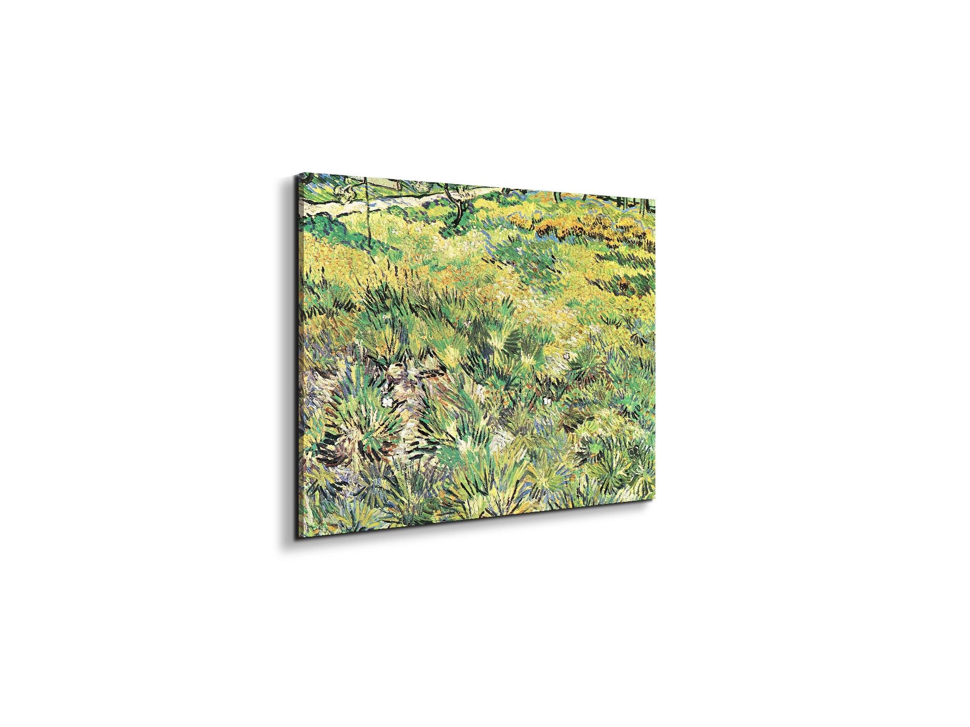 meadow-in-the-garden-of-saint-paul-hospitalas91143-#materiale_EarthArt/dimensioni_50x37,50