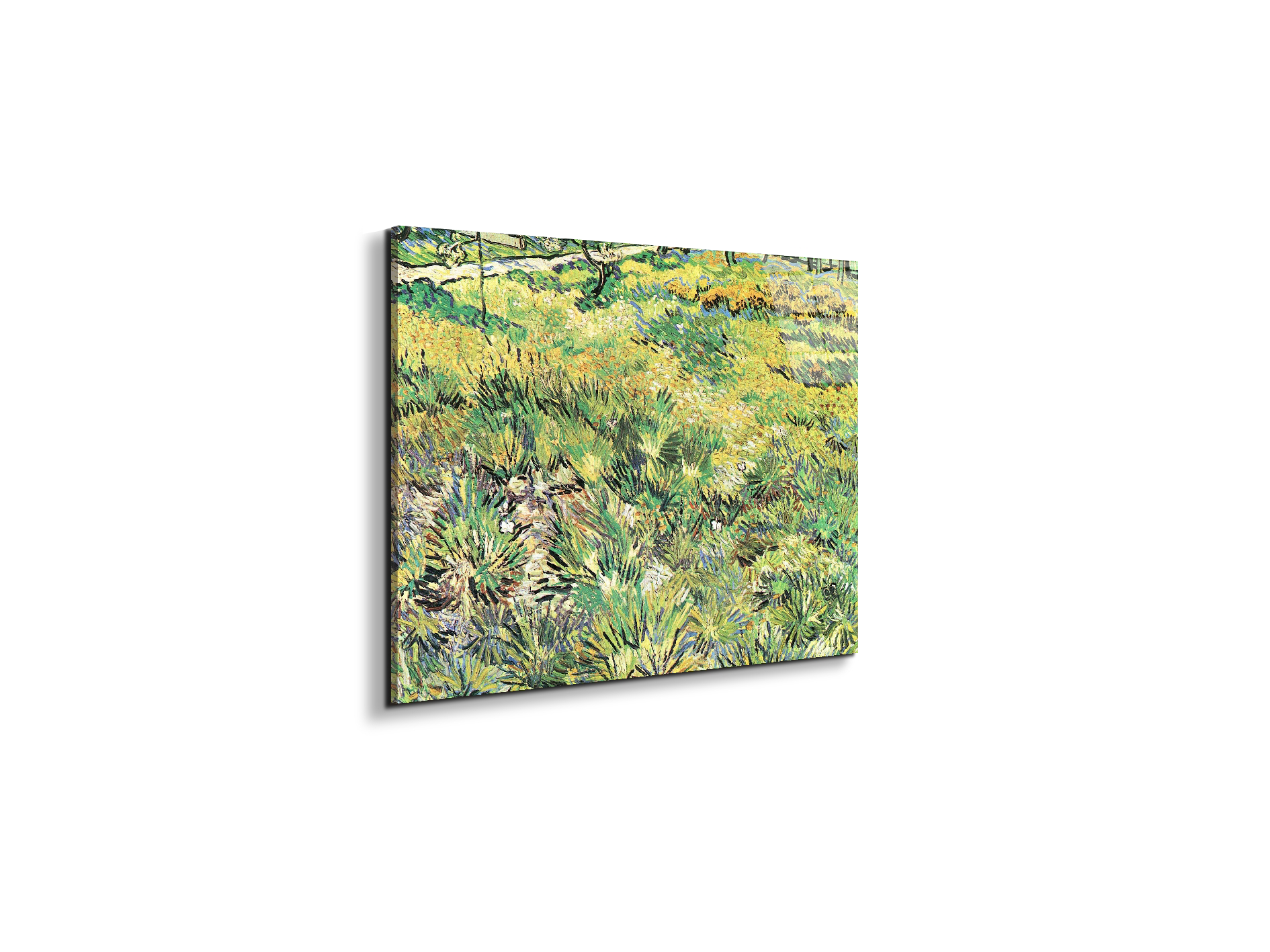 meadow-in-the-garden-of-saint-paul-hospitalas91143-#materiale_EarthArt Total Gloss/dimensioni_50x37,50