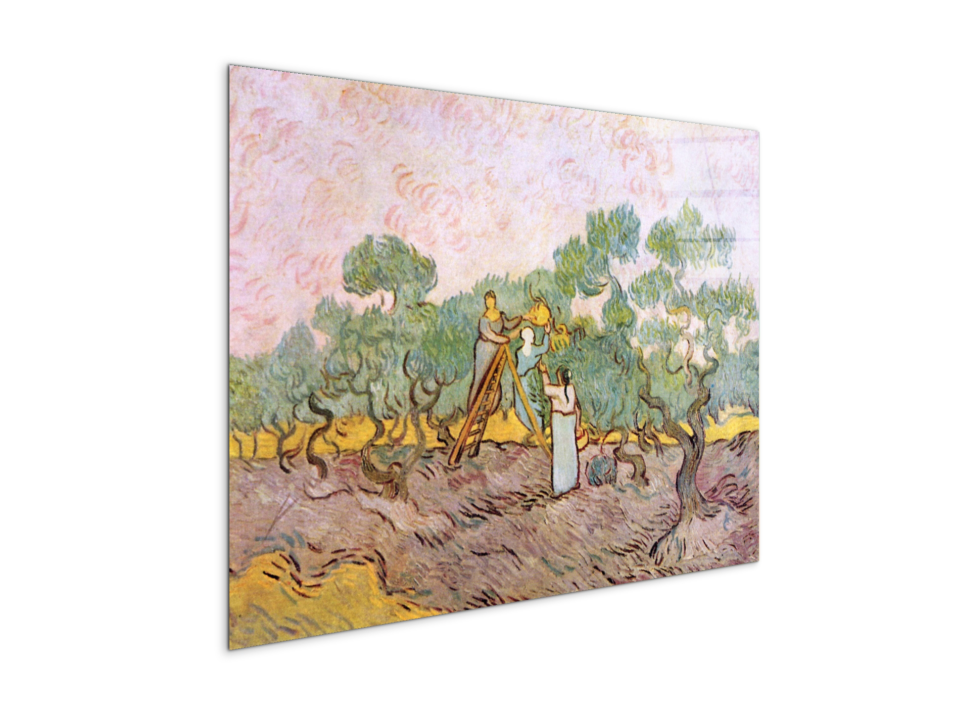 olive-pickersas91153-#materiale_CrystalArt/dimensioni_76x57