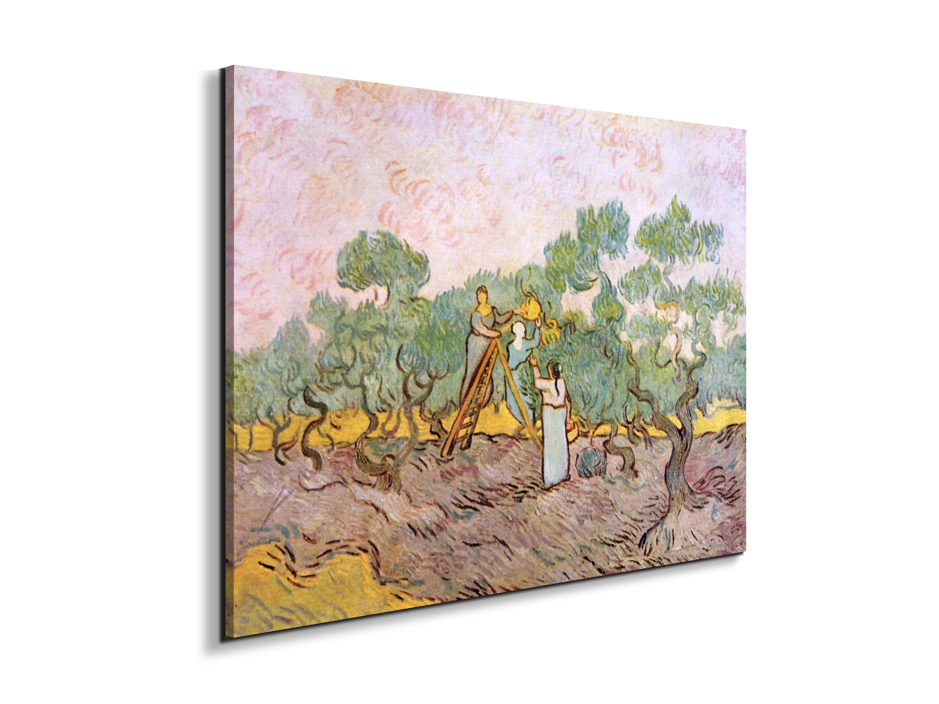 olive-pickersas91153-#materiale_EarthArt Materic/dimensioni_76x57