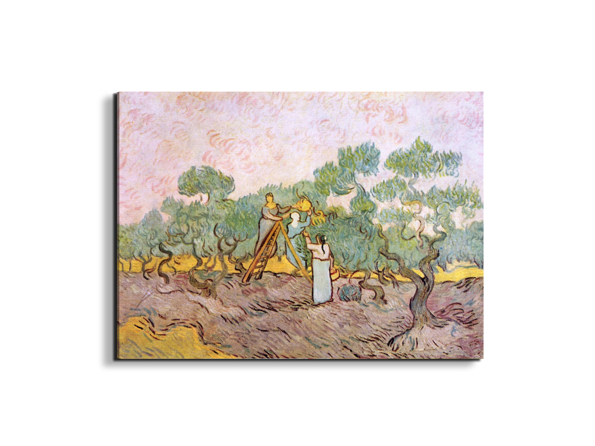 olive-pickersas91153-#materiale_EarthArt Materic/dimensioni_76x57