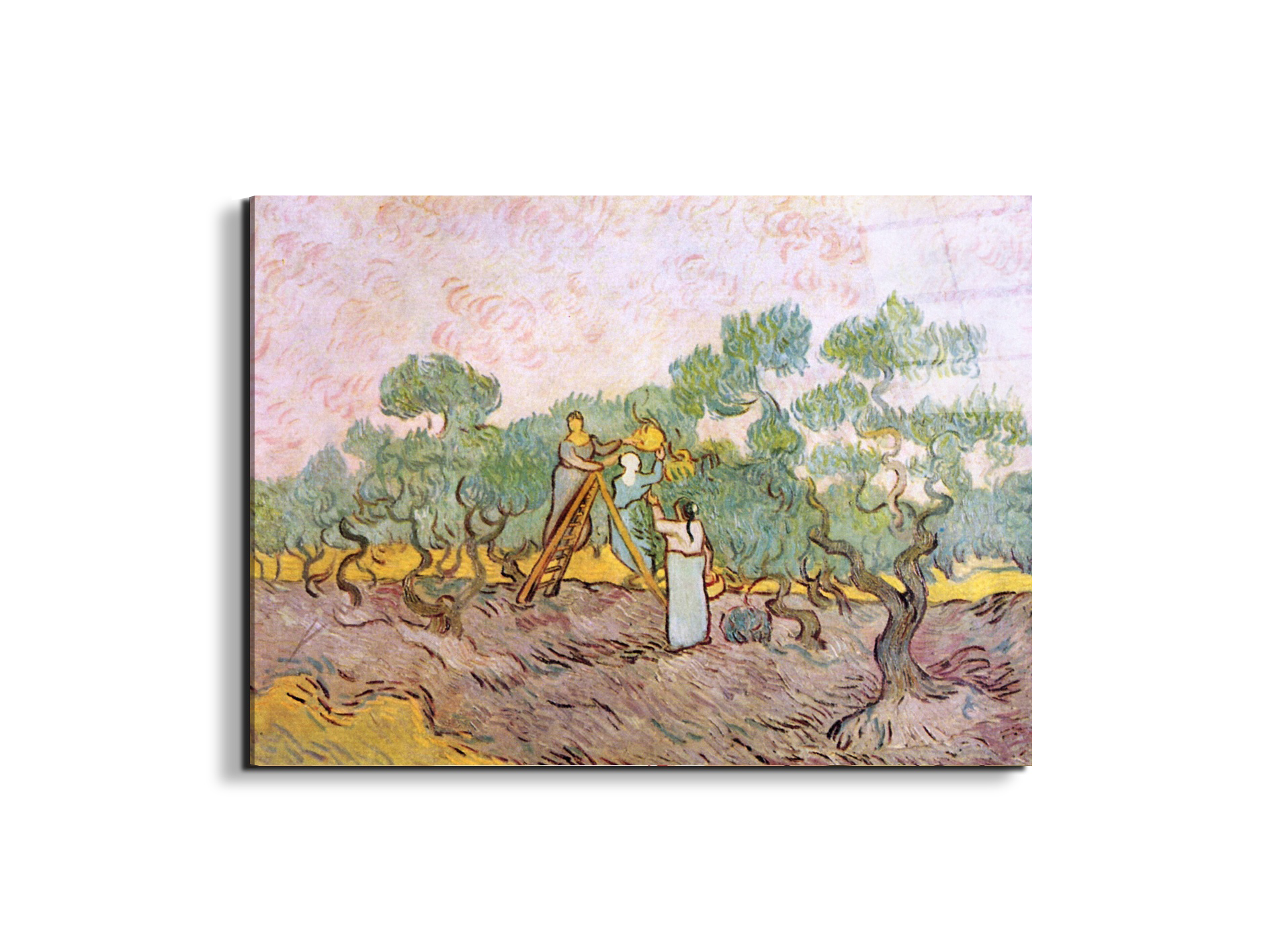 olive-pickersas91153-#materiale_EarthArt Total Gloss/dimensioni_76x57