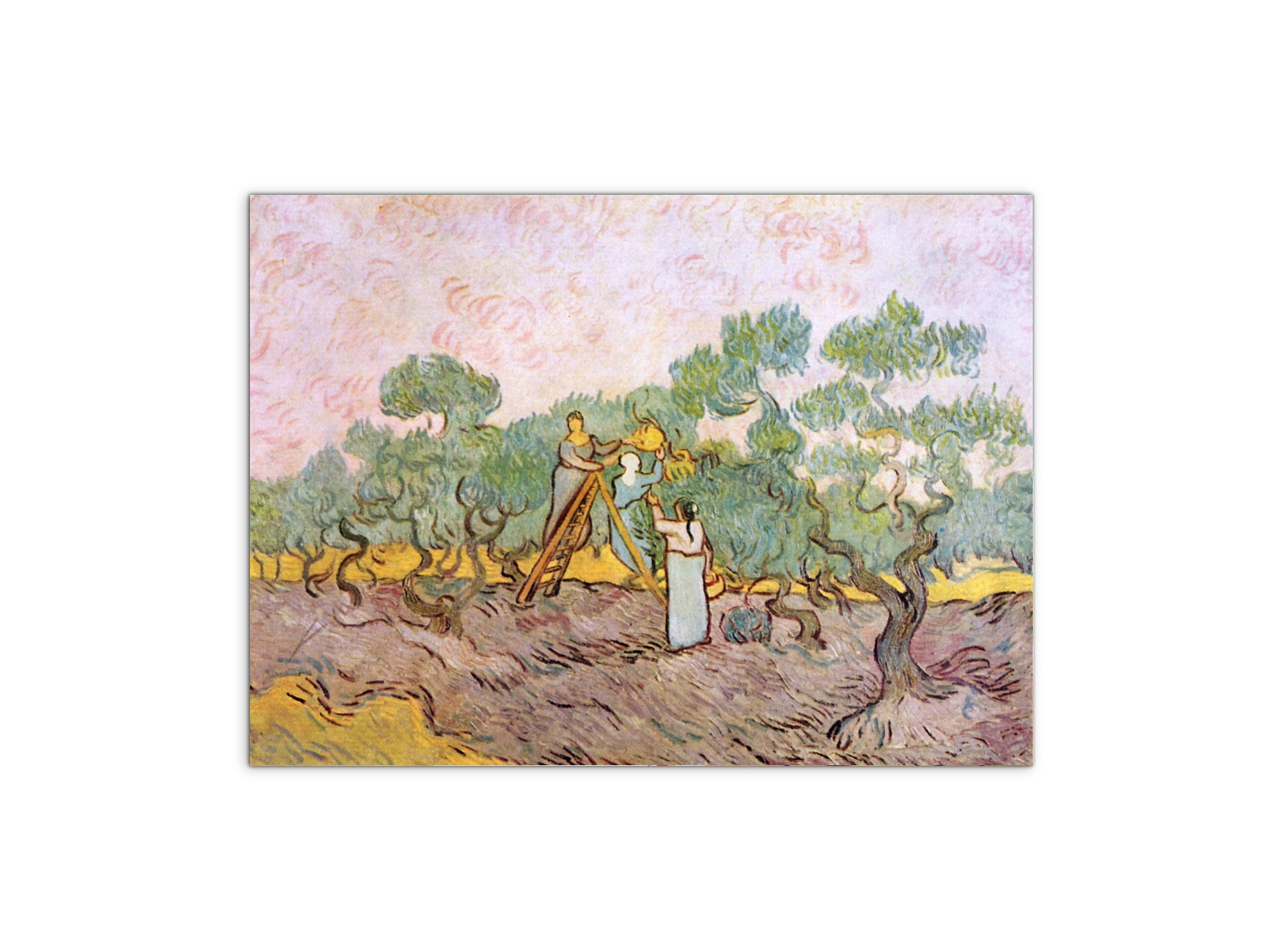 olive-pickersas91153-#materiale_MetalArt Materic/dimensioni_76x57