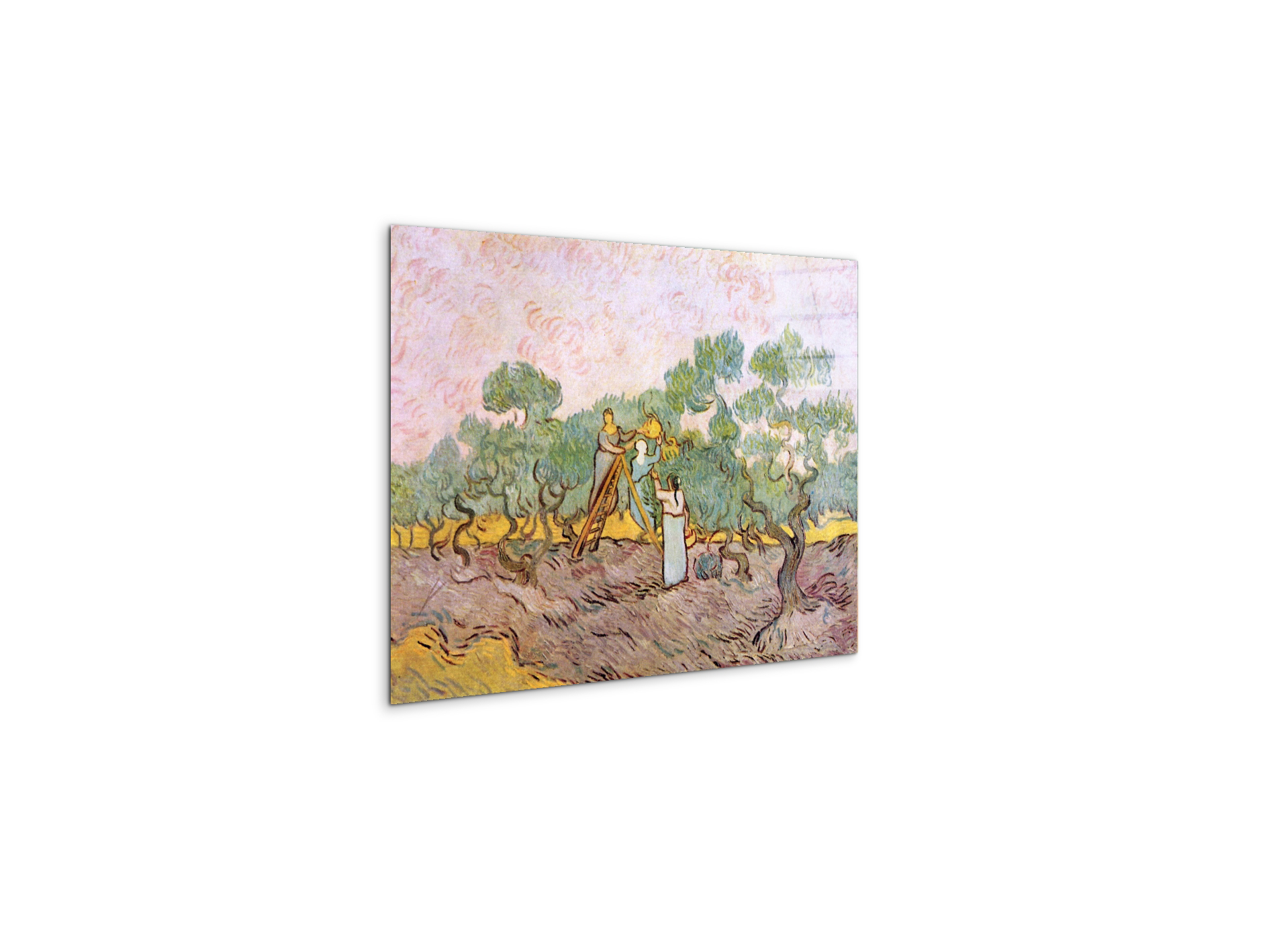 olive-pickersas91153-#materiale_CrystalArt/dimensioni_50x37,50