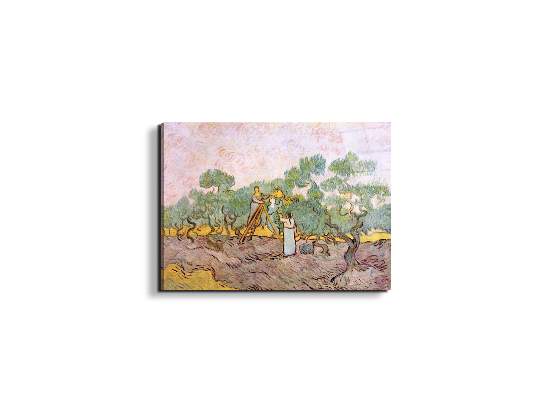 olive-pickersas91153-#materiale_EarthArt Total Gloss/dimensioni_50x37,50