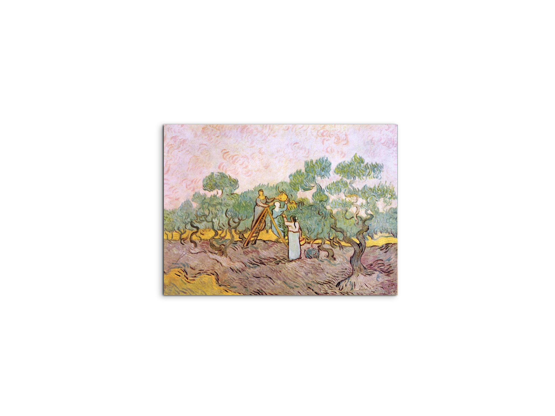 olive-pickersas91153-#materiale_MetalArt Materic/dimensioni_50x37,50