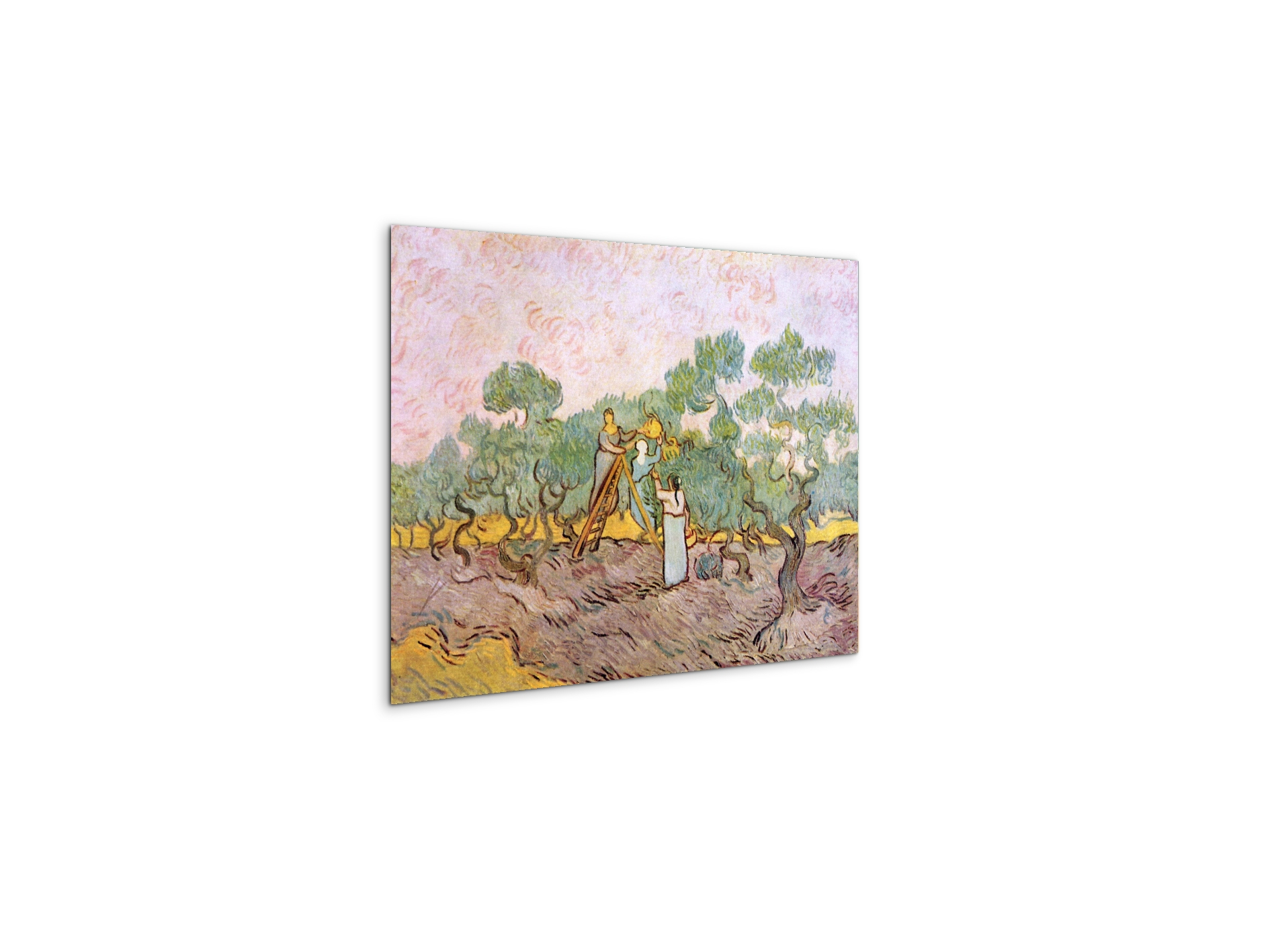 olive-pickersas91153-#materiale_MetalArt Materic/dimensioni_50x37,50