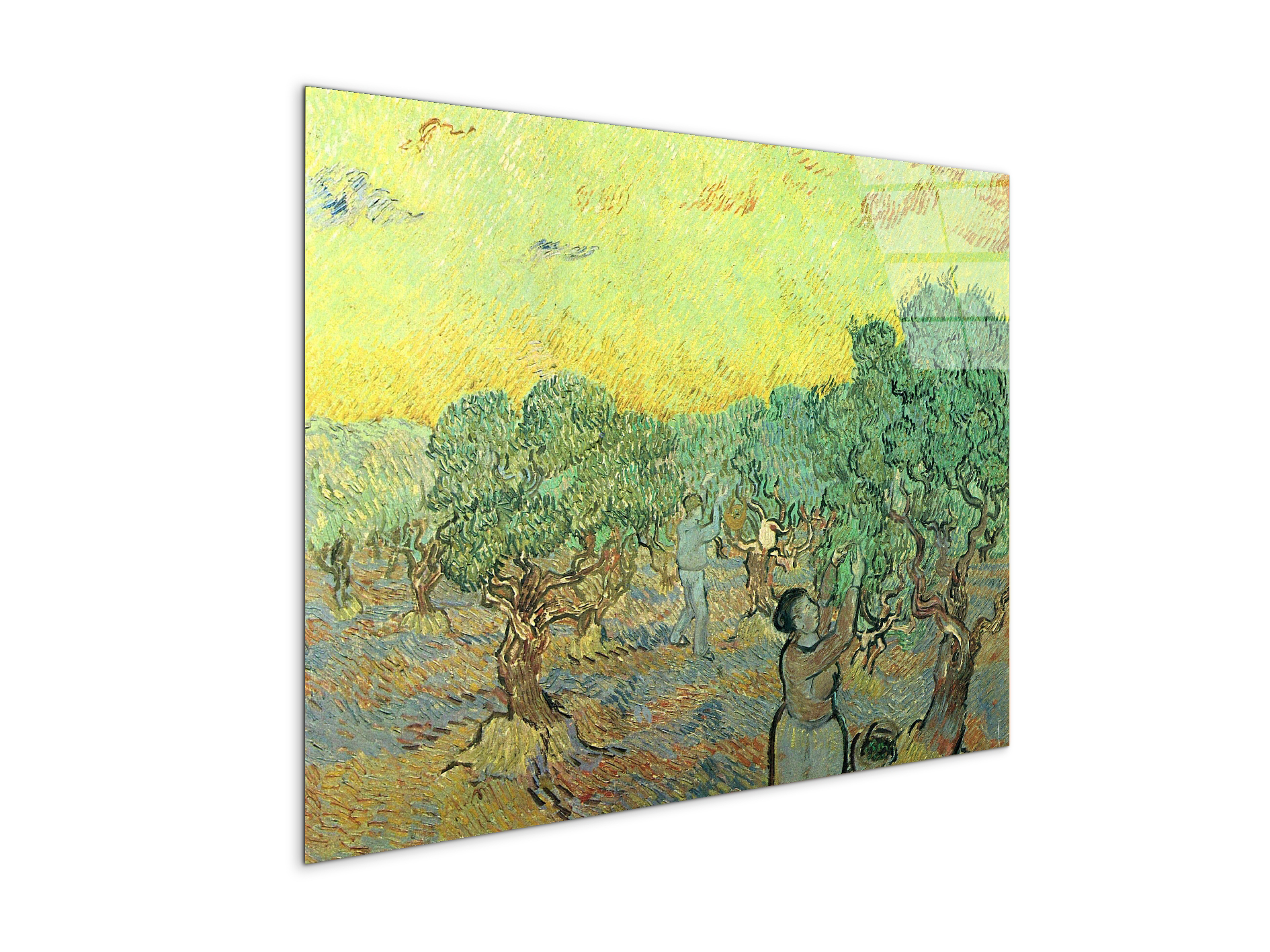 olive-pickers-in-a-groveas91155-#materiale_CrystalArt/dimensioni_76x57