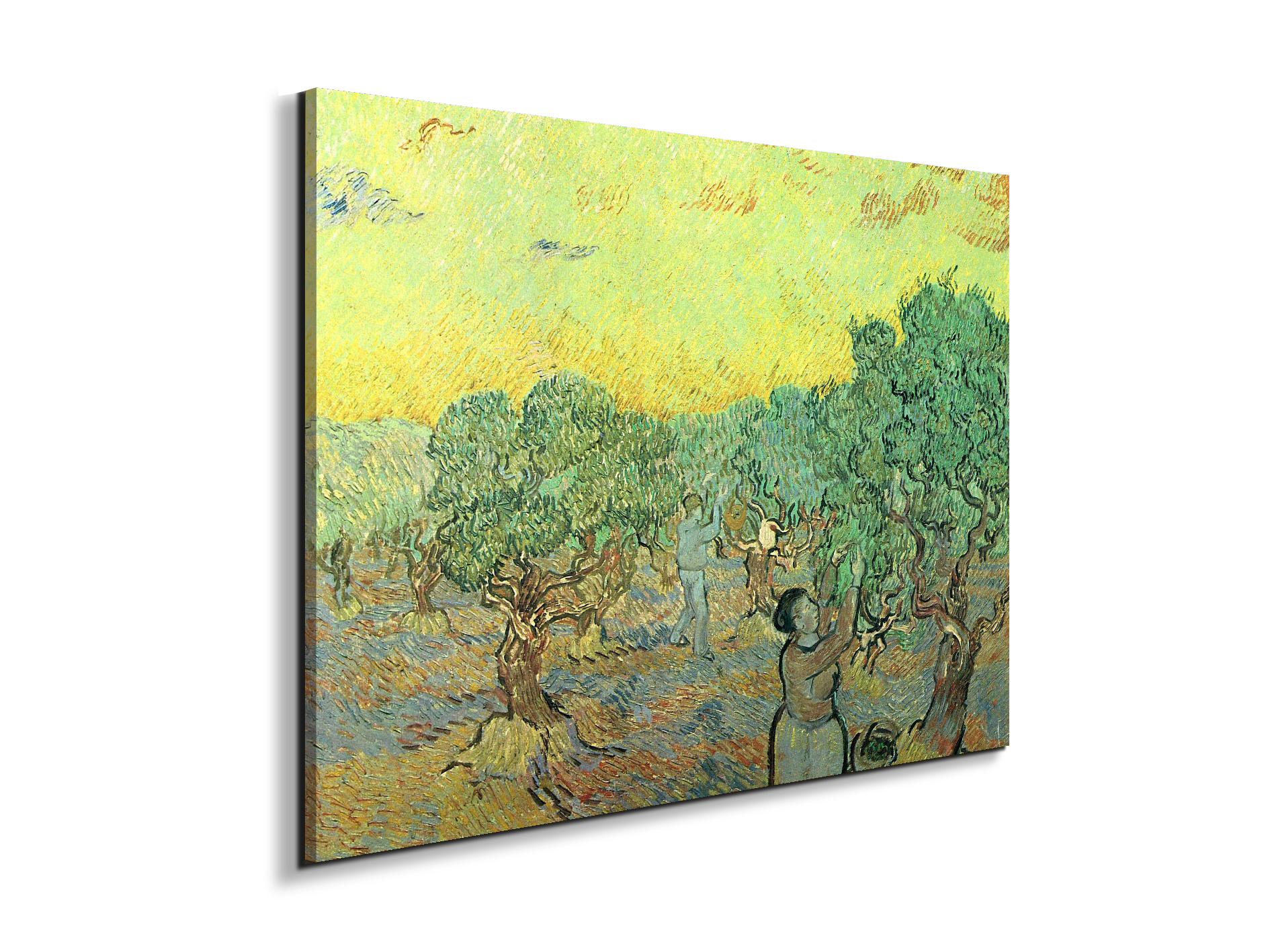 olive-pickers-in-a-groveas91155-#materiale_EarthArt Materic/dimensioni_76x57